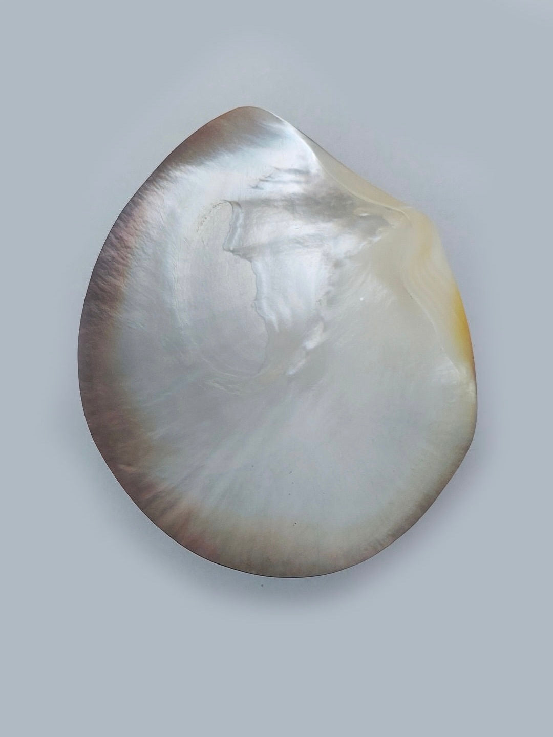Mother-Of-Pearl Vide Poche by Les Objoies | The Oblist