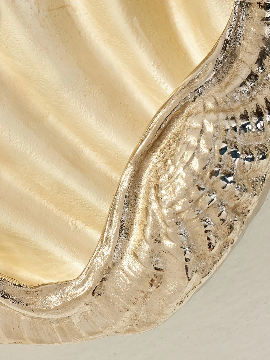 Seashell Decorative Dish