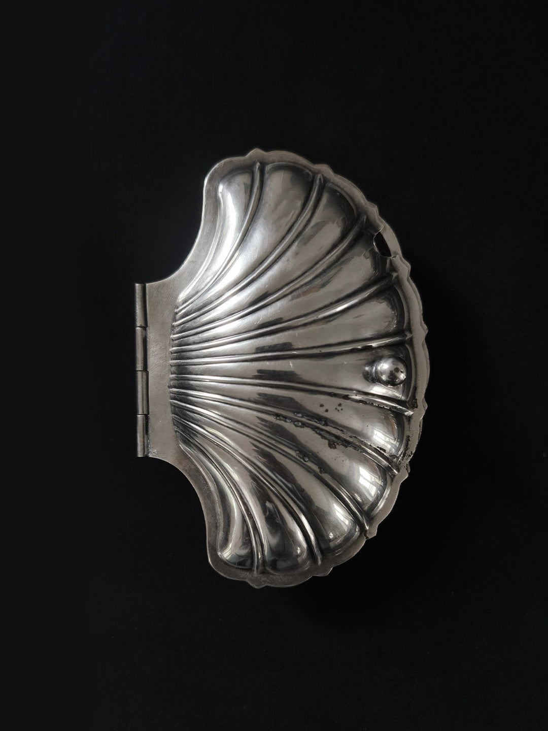 Shell Box