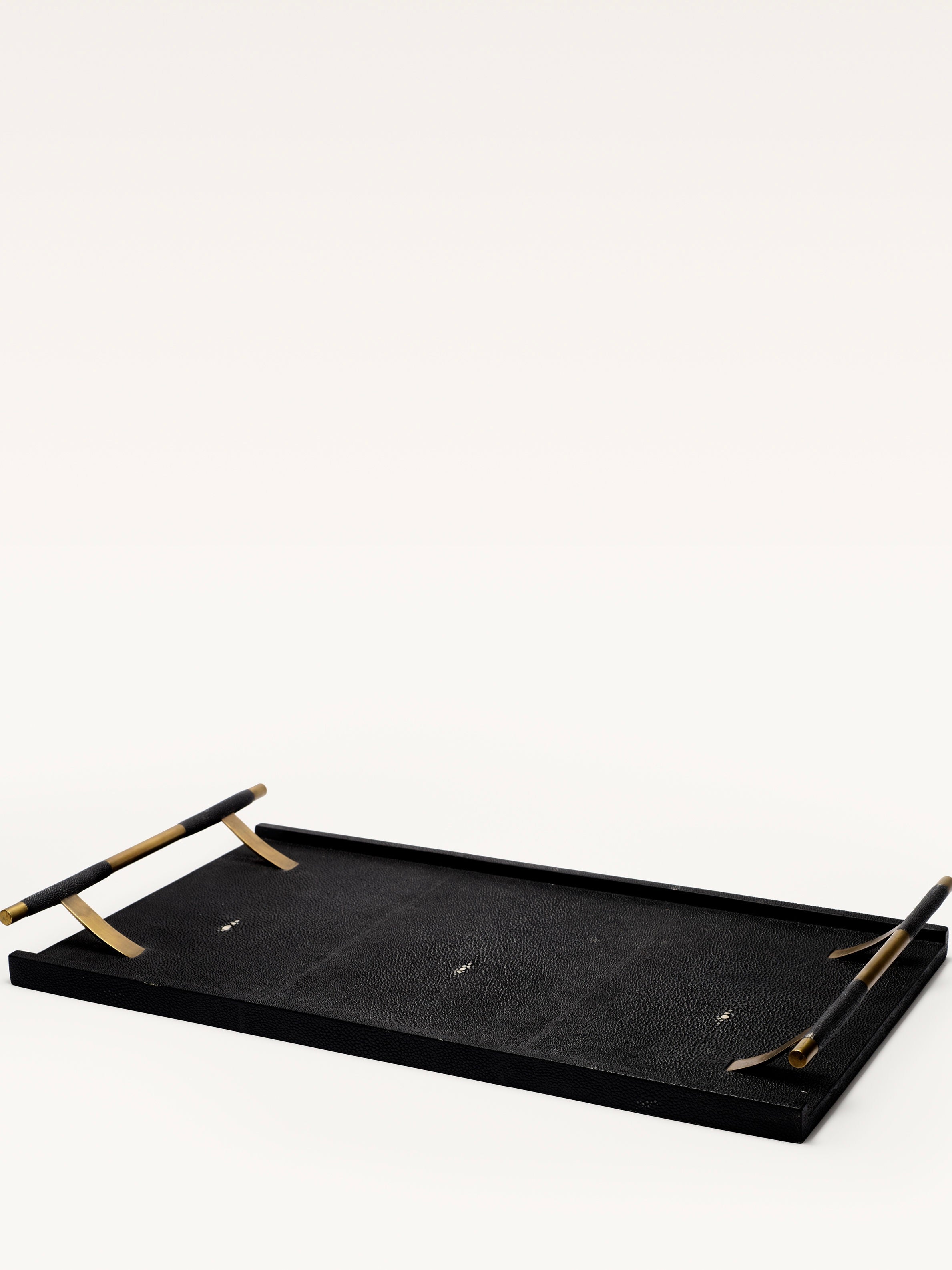 Black Shagreen Tray