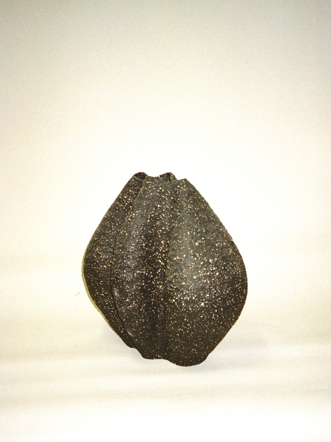 Growing Vase n.1