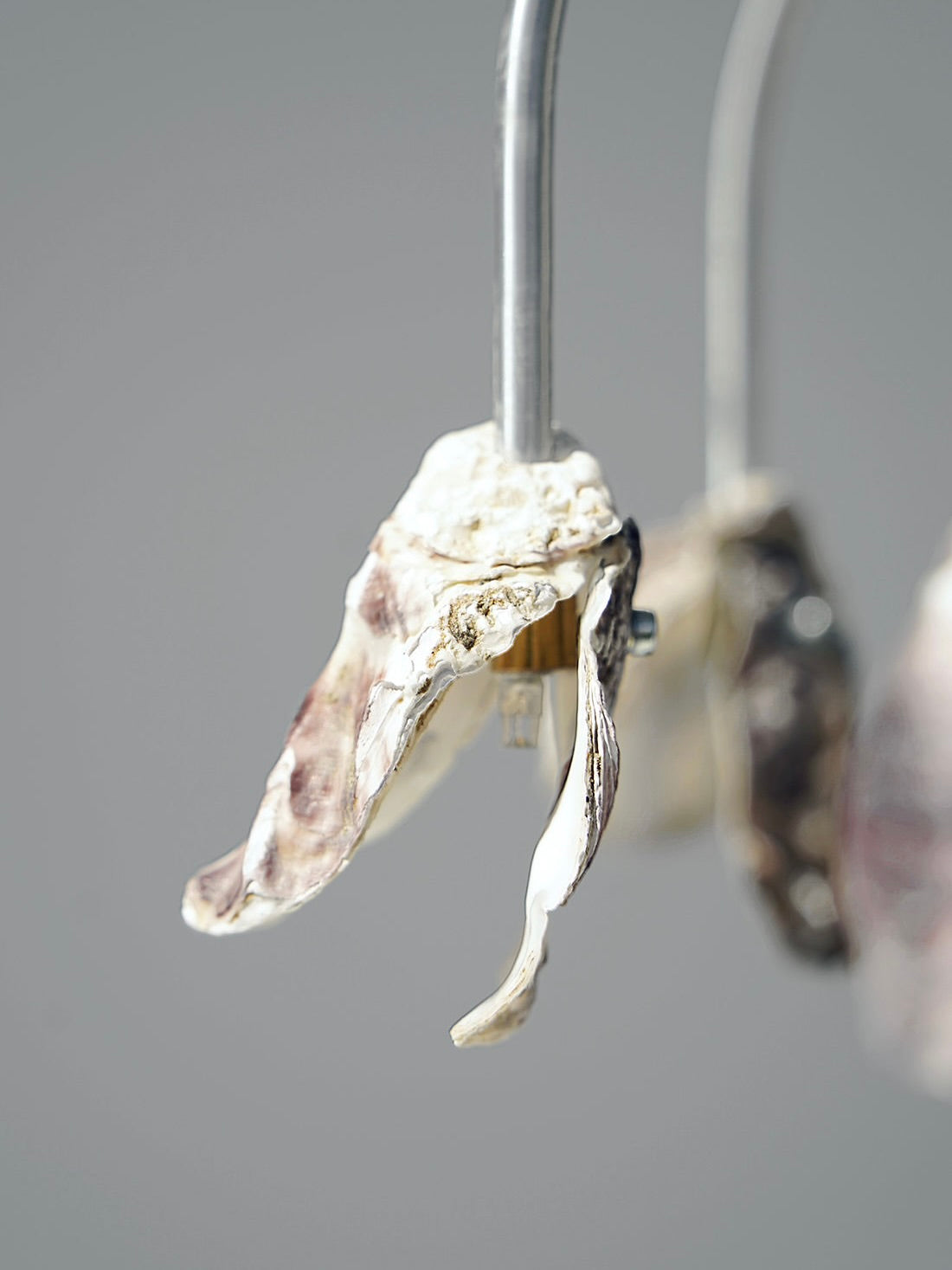 Chandelier With The Oysters