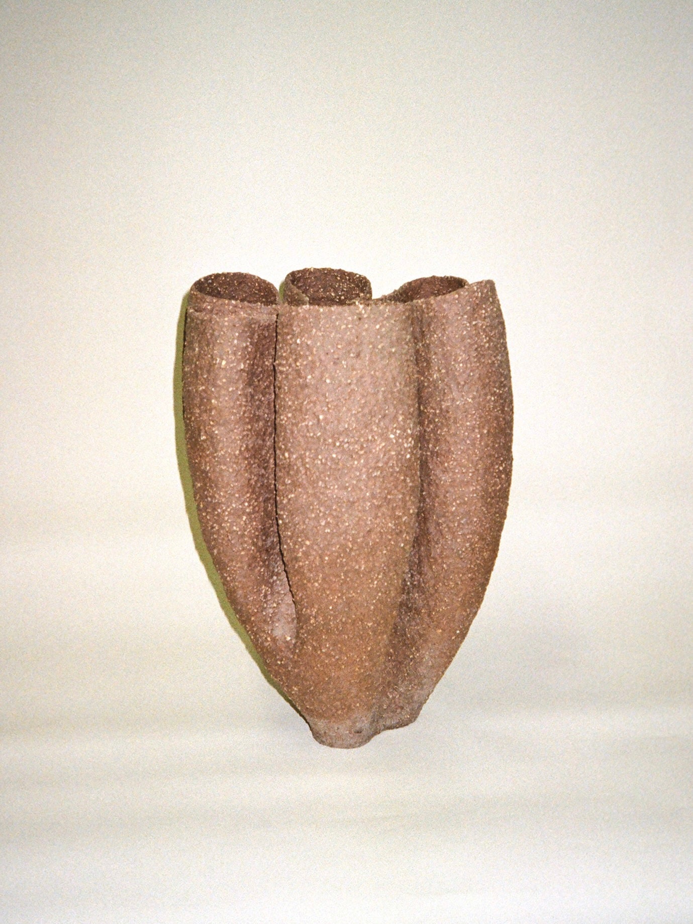 Growing Vase n.5