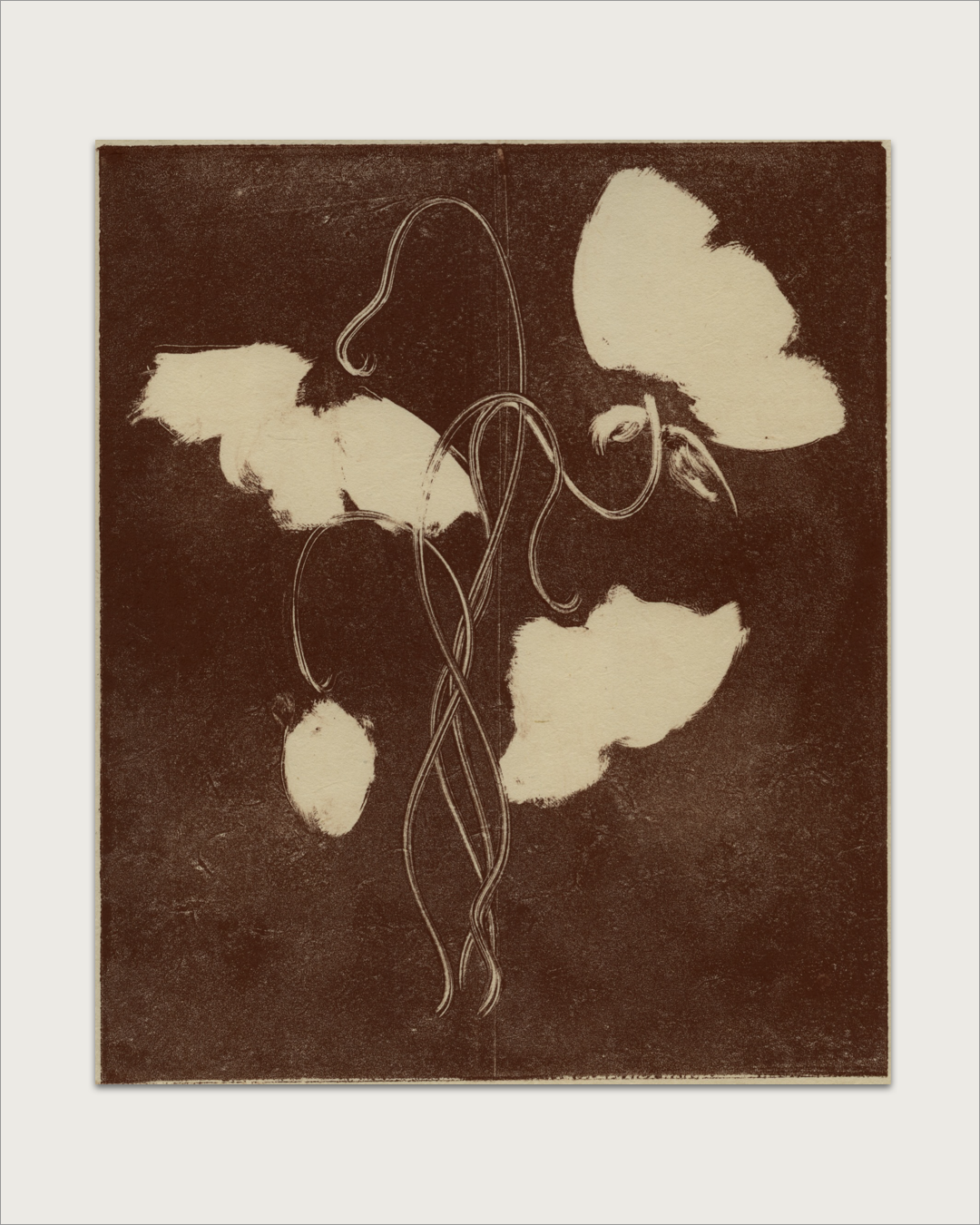'Bloom II-IV' | monotype drawings by Heidi Hundseth Hart