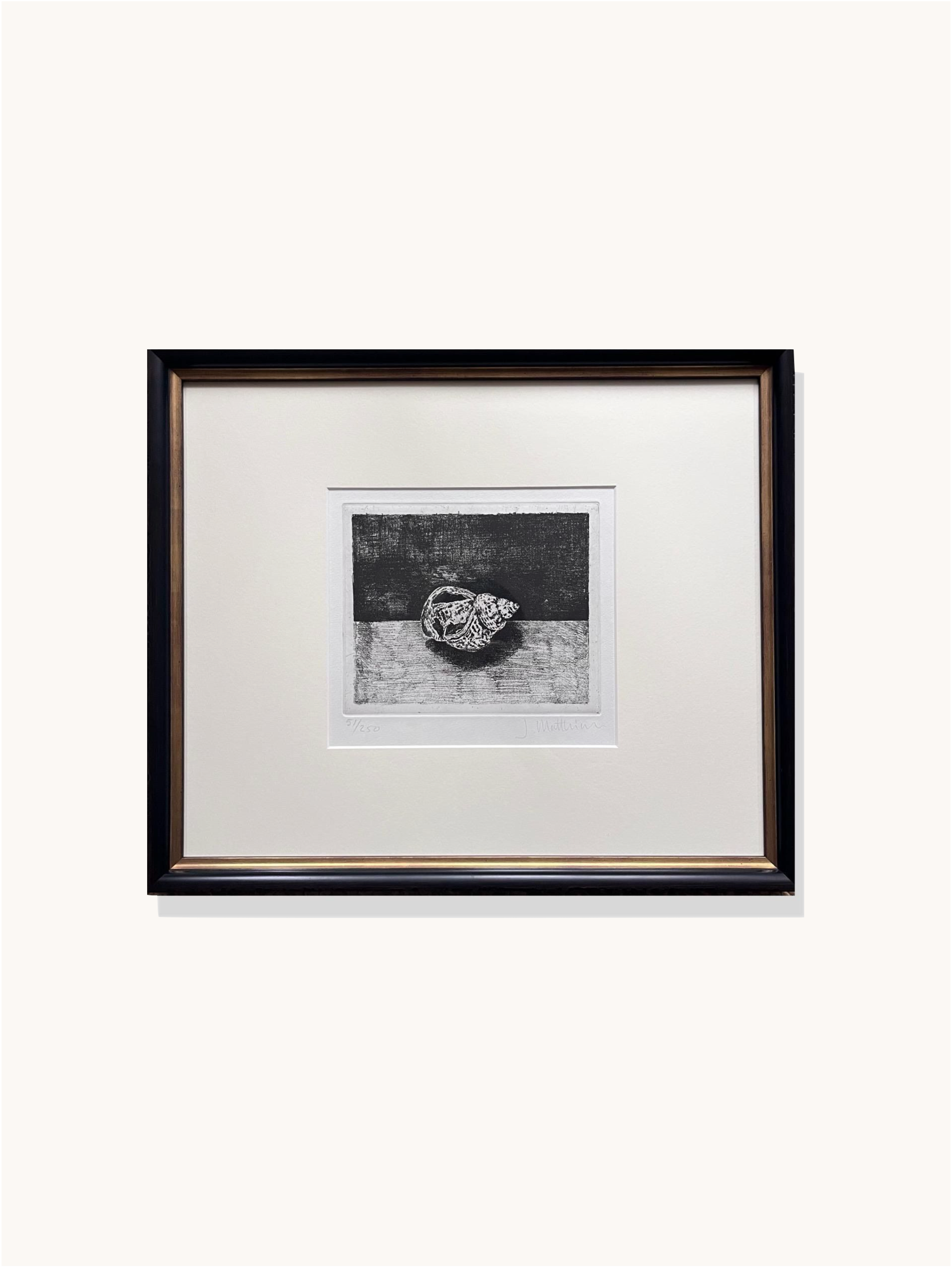 Shell Etching II by Médecine is a framed black and white etching, showcased on a white mat with a sleek black wooden frame against a plain light background.