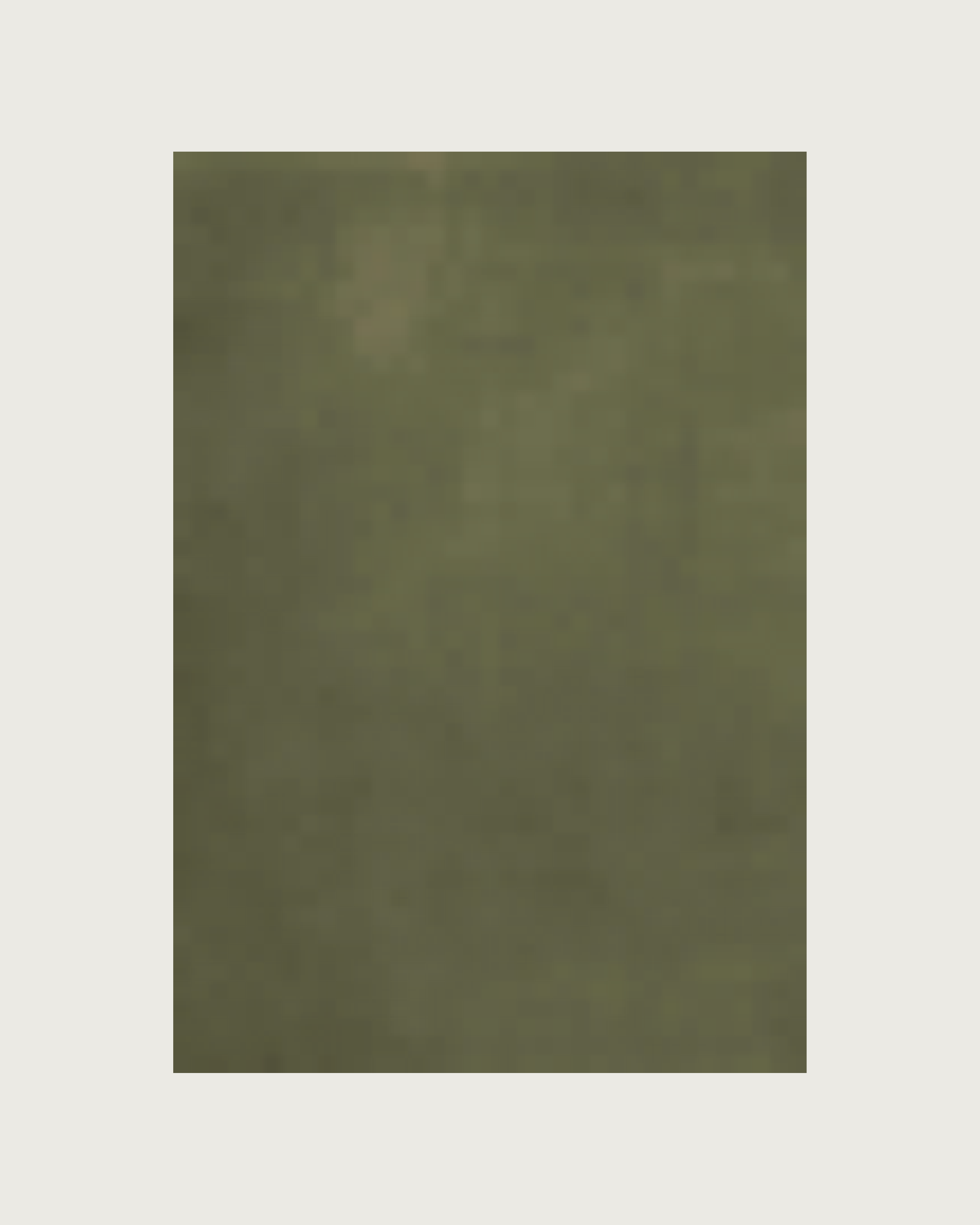 'Solid Wool' Handwoven Rug, Capulet Olive