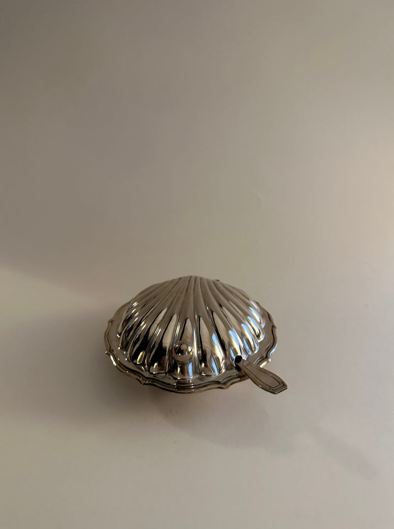Beautiful and elegant shell design butter dish in white color