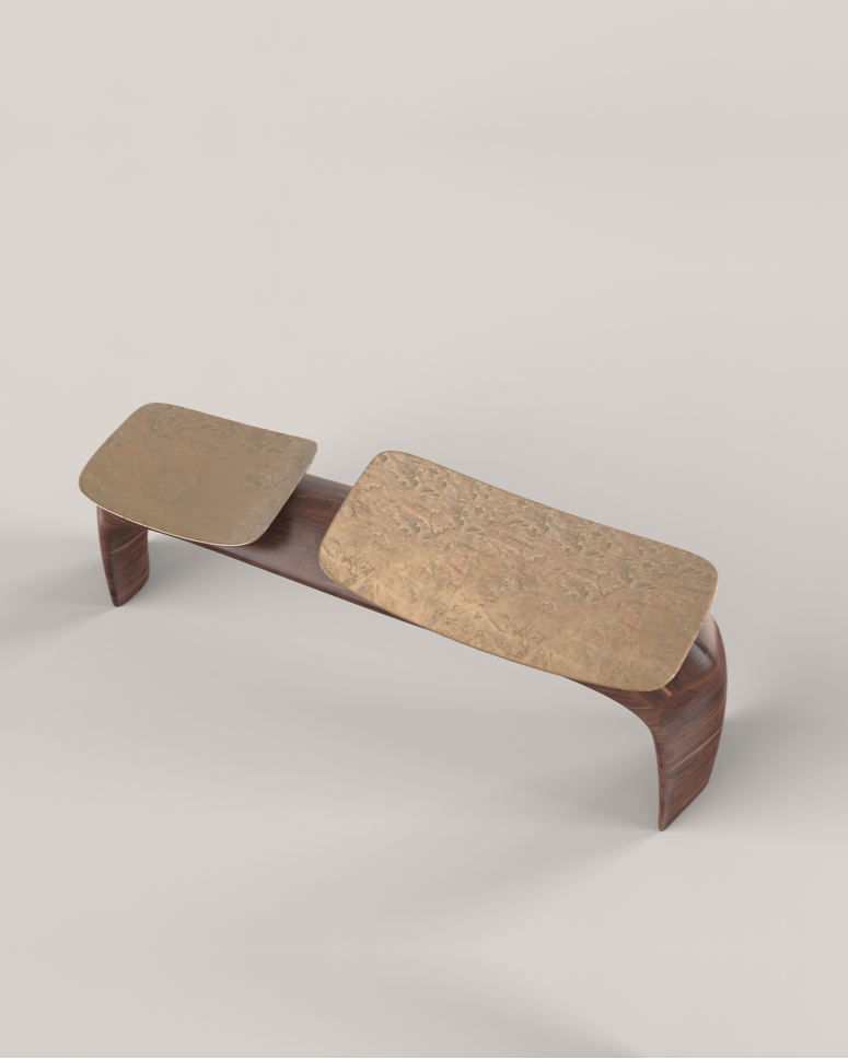 BAYOU V2 bench in Carved Solid Wood with Cast Bronze Seat