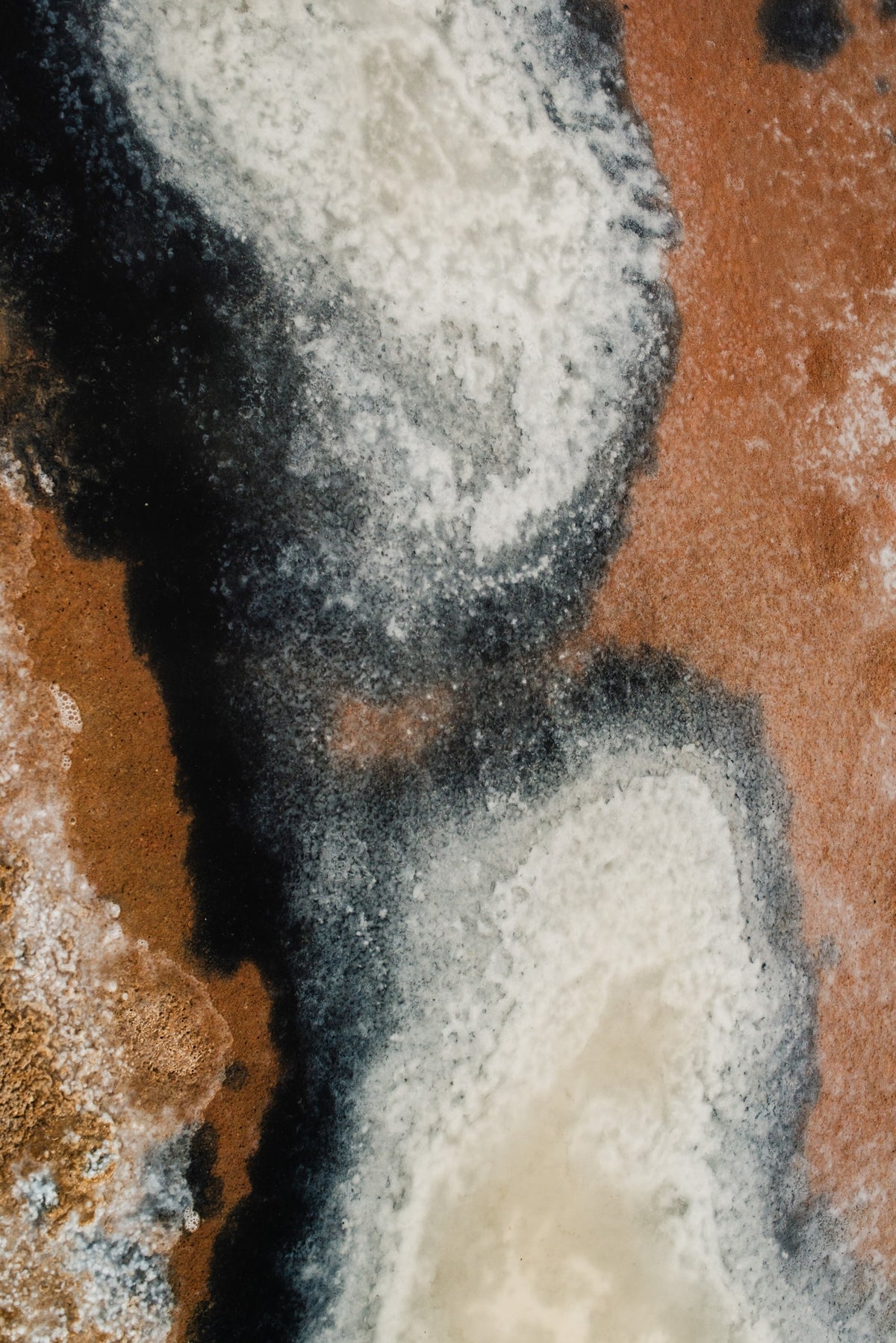 Ses Salines No. 38 — Fine Art Photograph — detail view