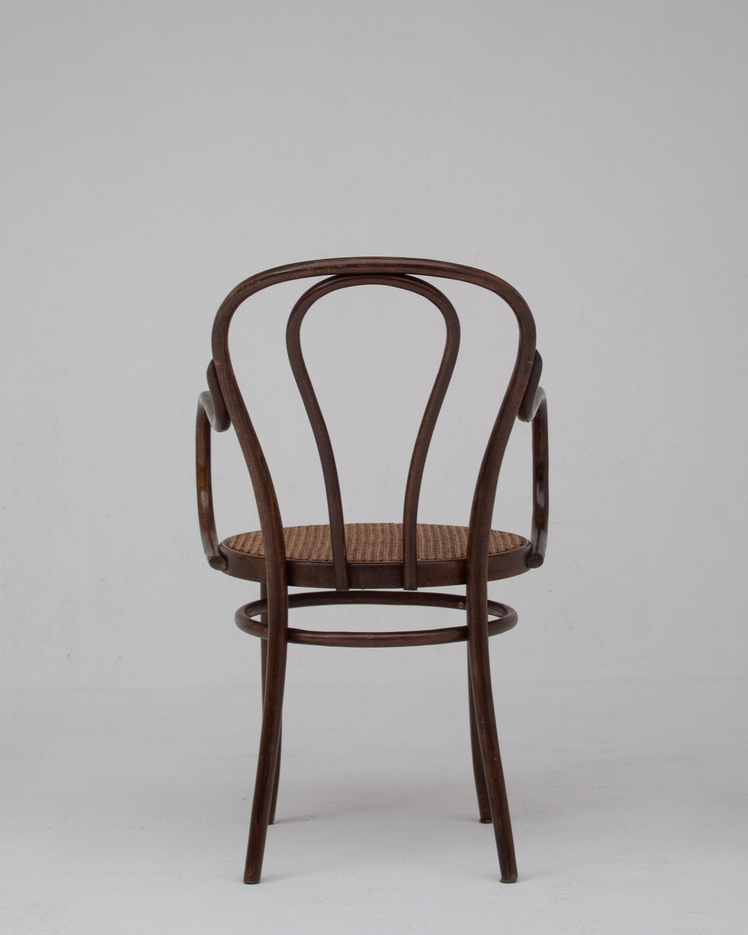 Set of Chair in Wood and Beech