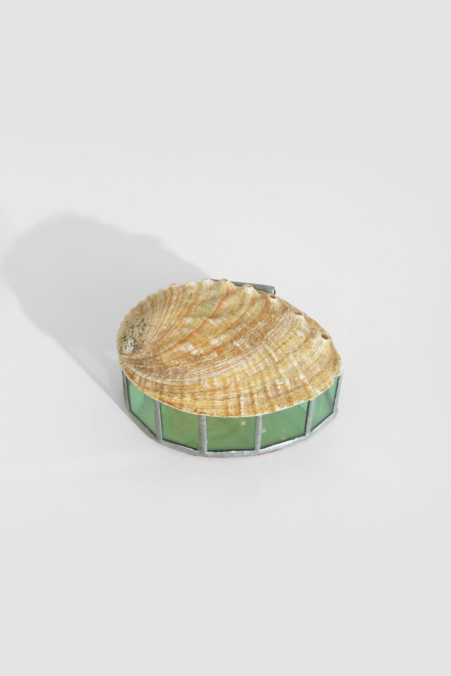 Red Abalone Shell Jewelry Box — detail view