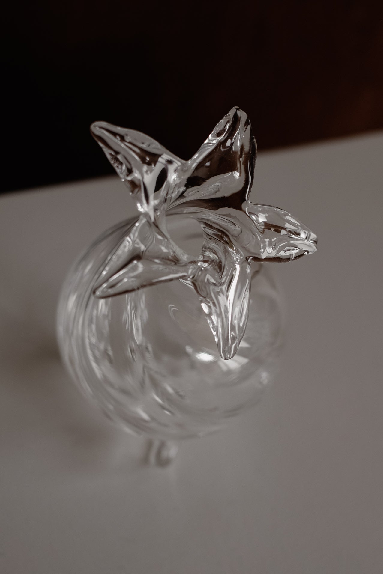 Mouthblown Glass Vase Set of 2 — top view of clear glass vase