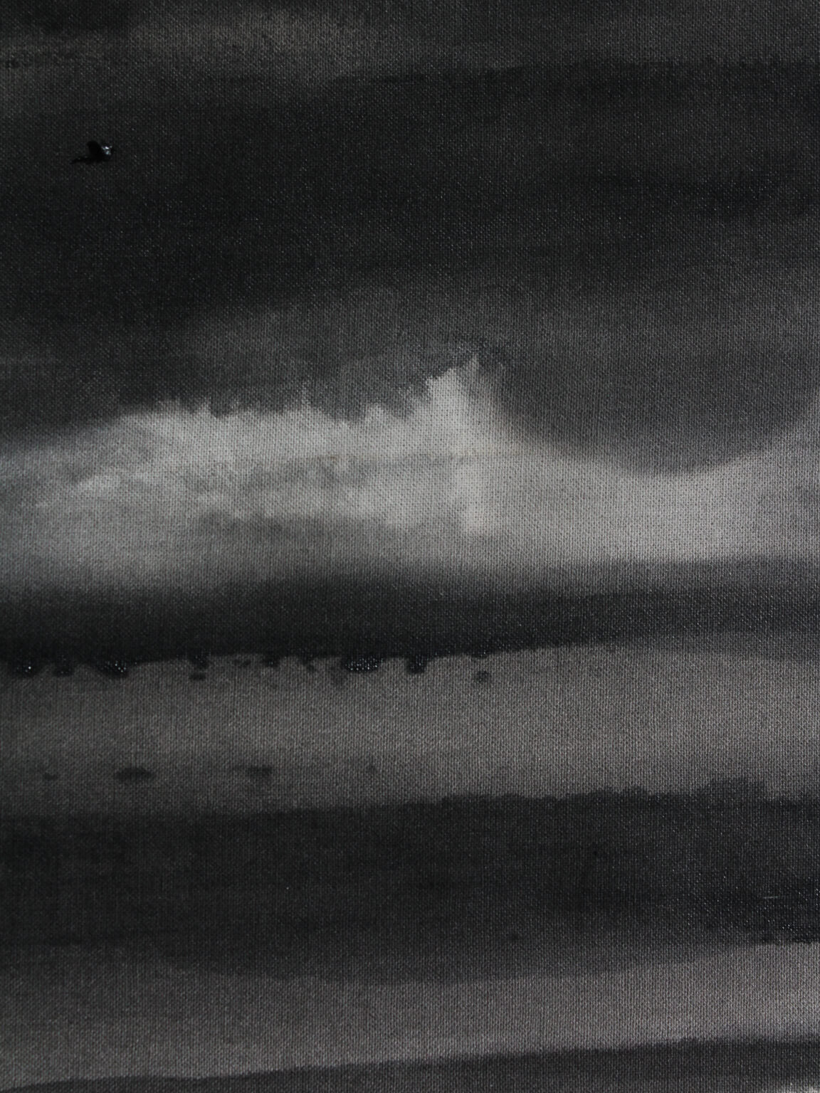 Horizontal Organic Lines In Black And White, Author Painting — additional view
