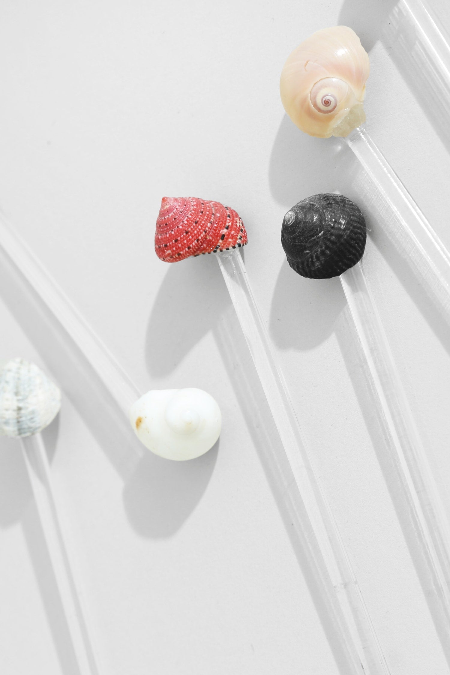 Shell Swizzle Set — side angle