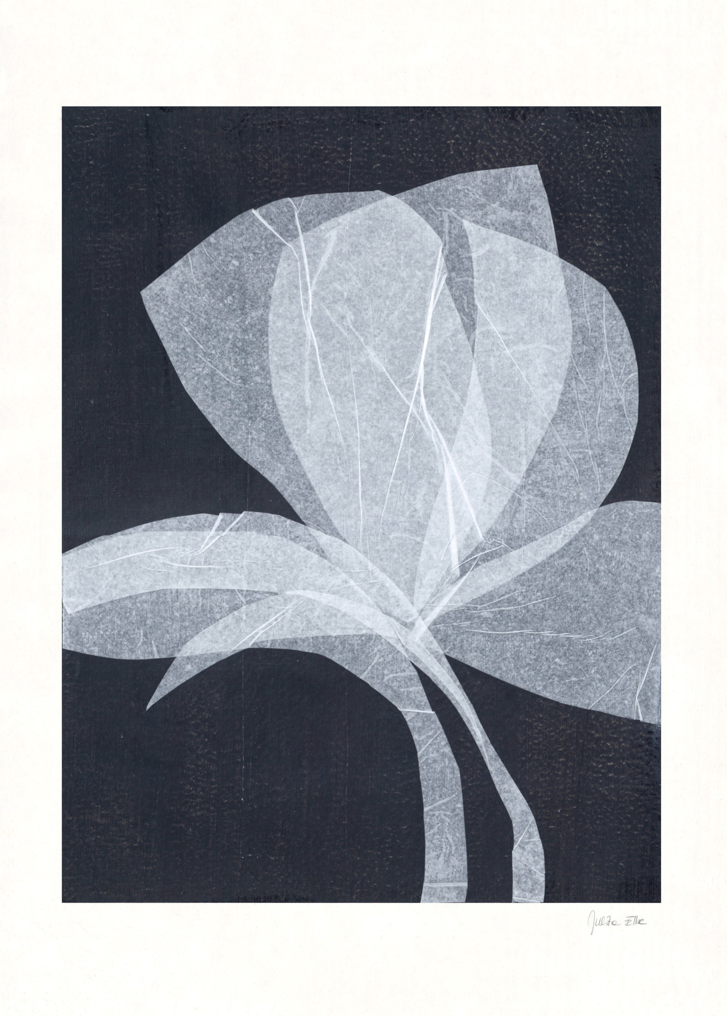 Winter Flowers by Julita Elbe | The Oblist
