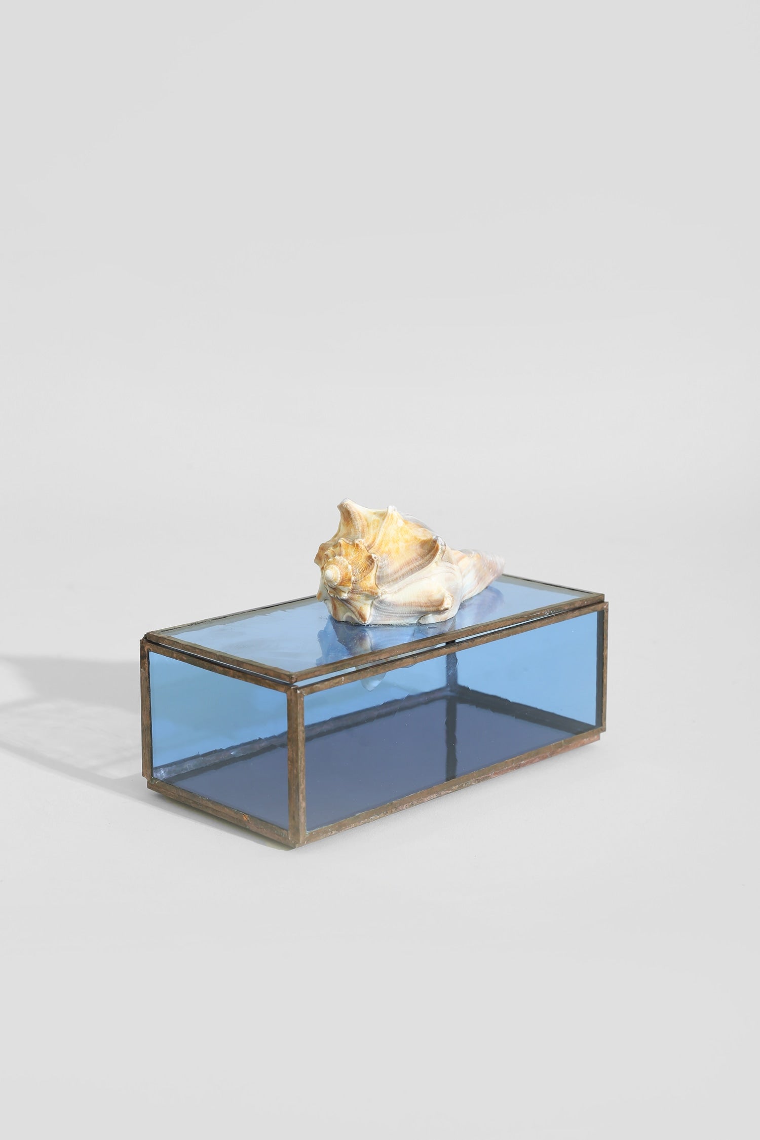 Shell Glass Jewelry Box — close-up of blue glass with shell detail