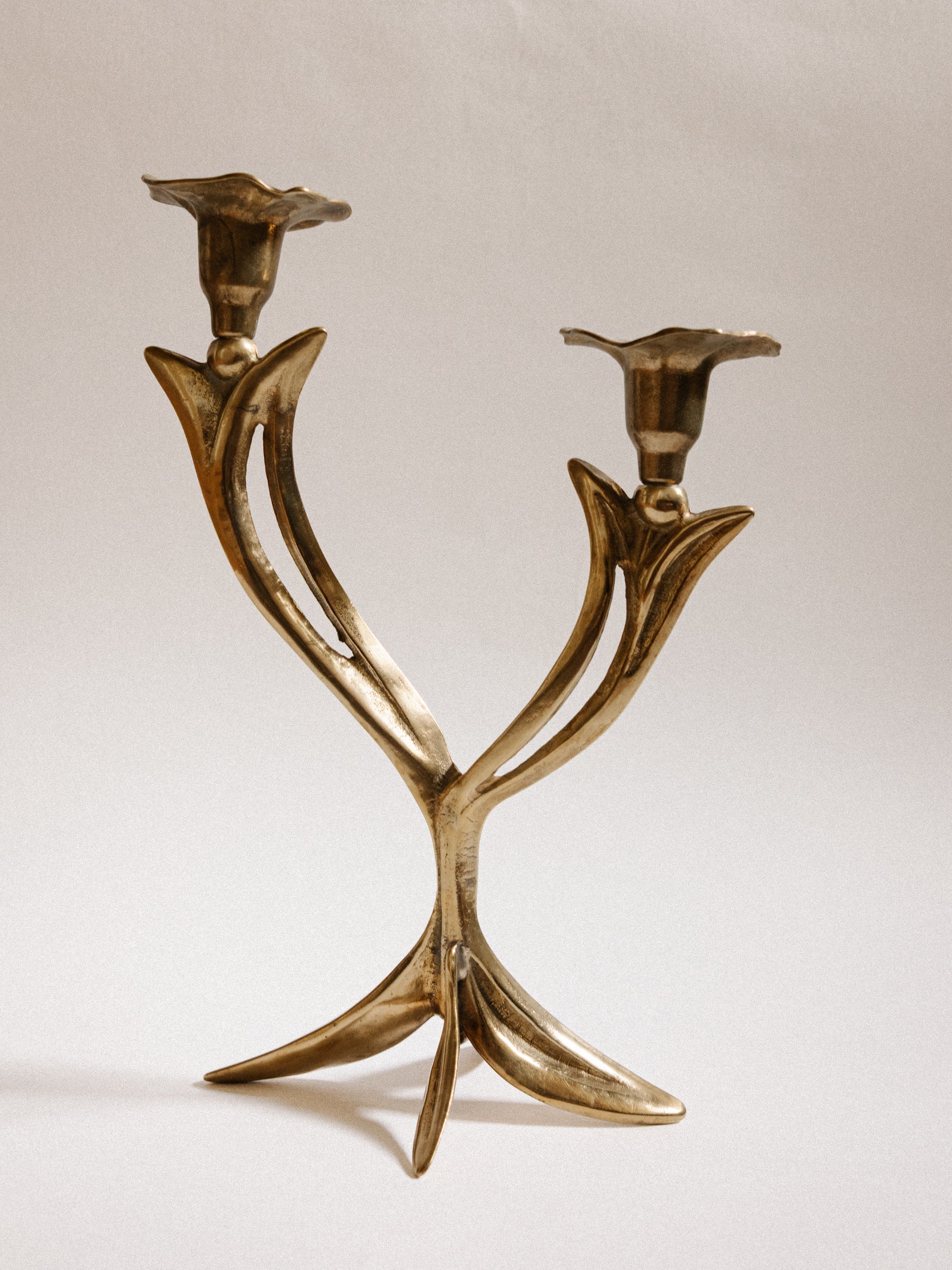 French Organic Flora Brass Candleholder — side angle
