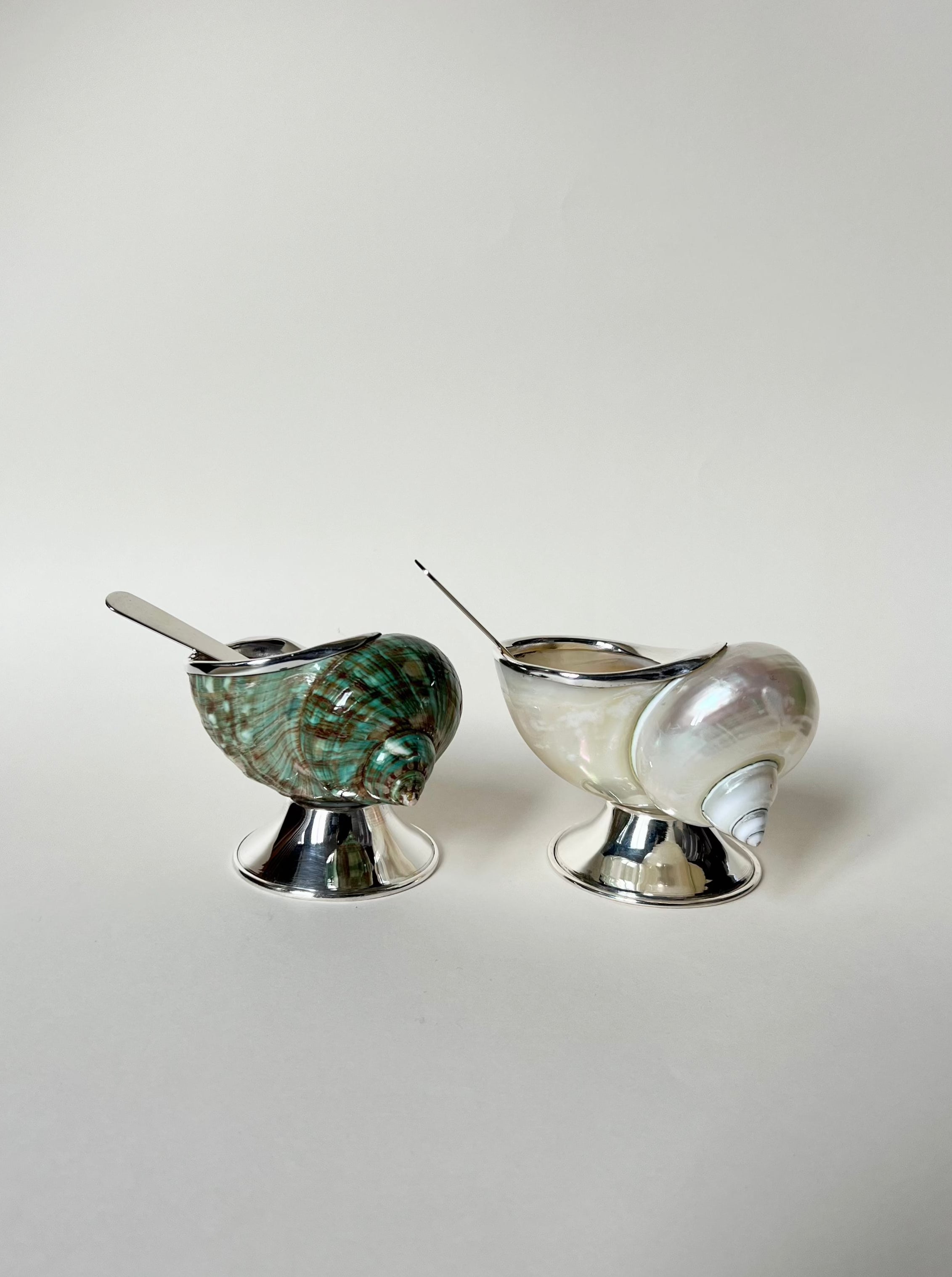 The Shell Sugar Bowl by Tavares 1922 features two polished turbo shells with silver bases and tiny spoons—one green and brown, the other white and iridescent—set against a plain white background for an elegant tabletop touch.
