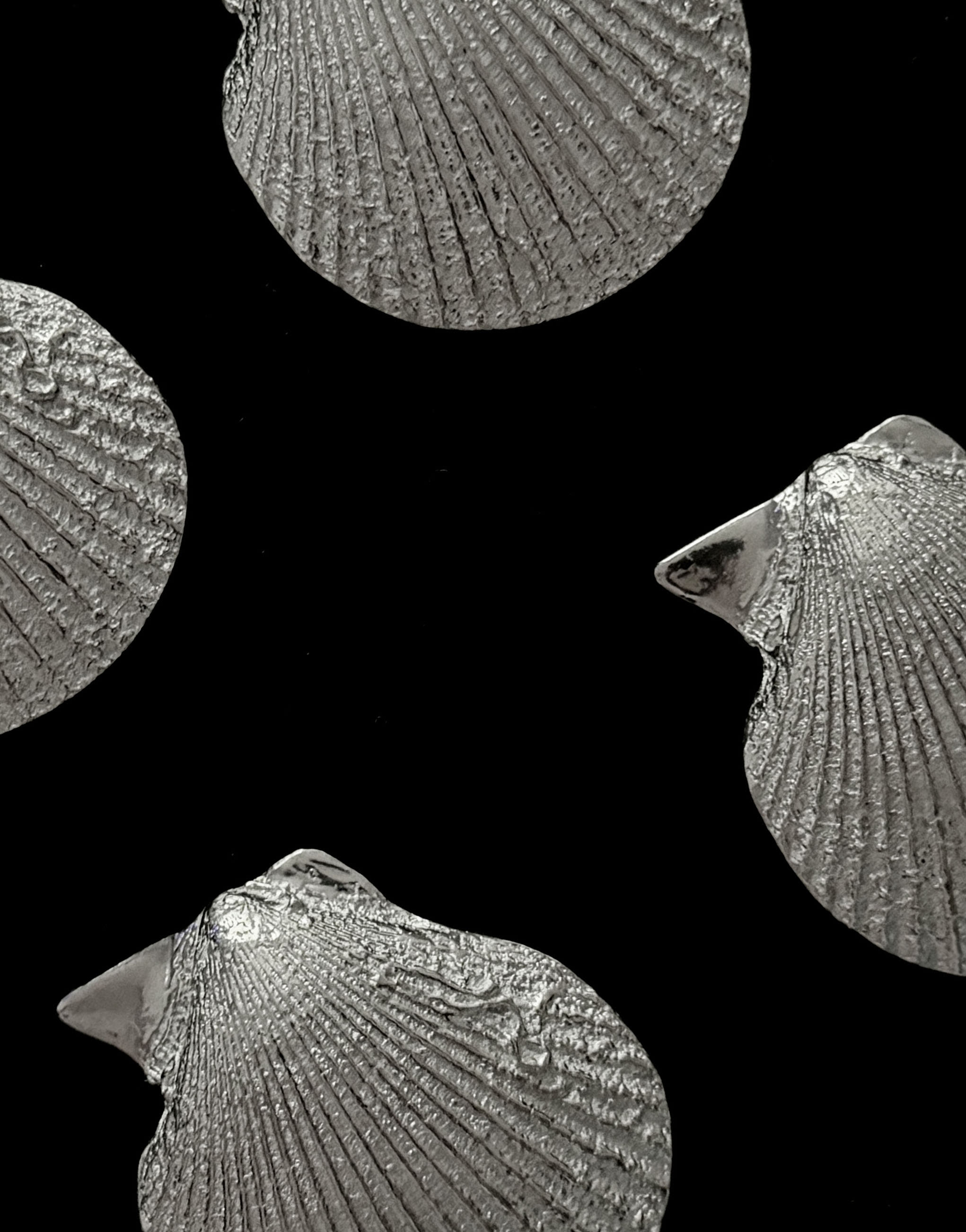 Vintage vide-poches crafted in the form of scallop shells — close-up of textured silver surface