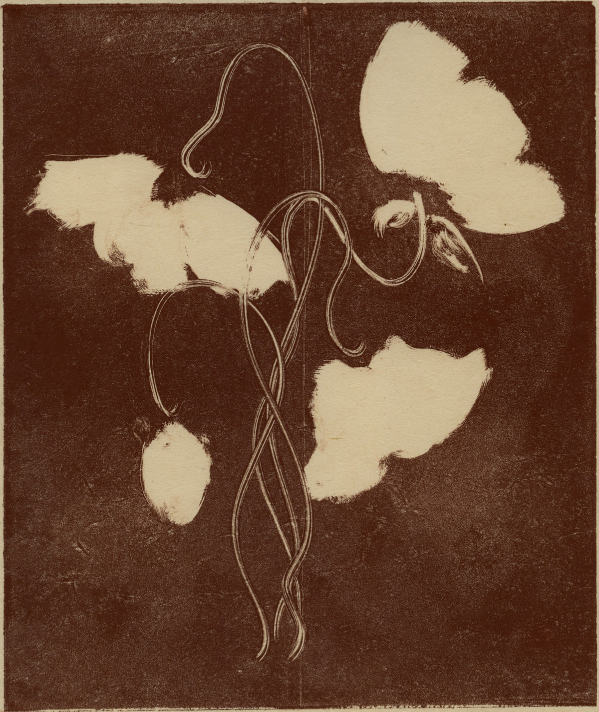 'Bloom II-IV' | monotype drawings by Heidi Hundseth Hart — lifestyle setting
