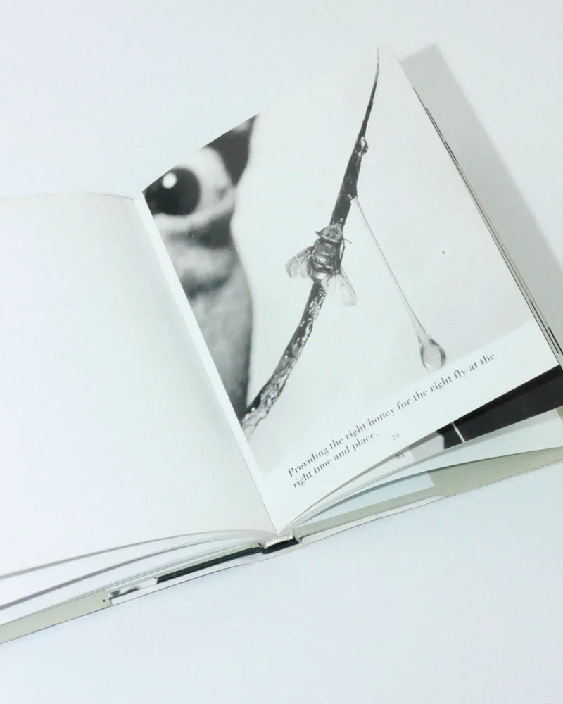 Dali's Mustache — open book showing black and white illustration