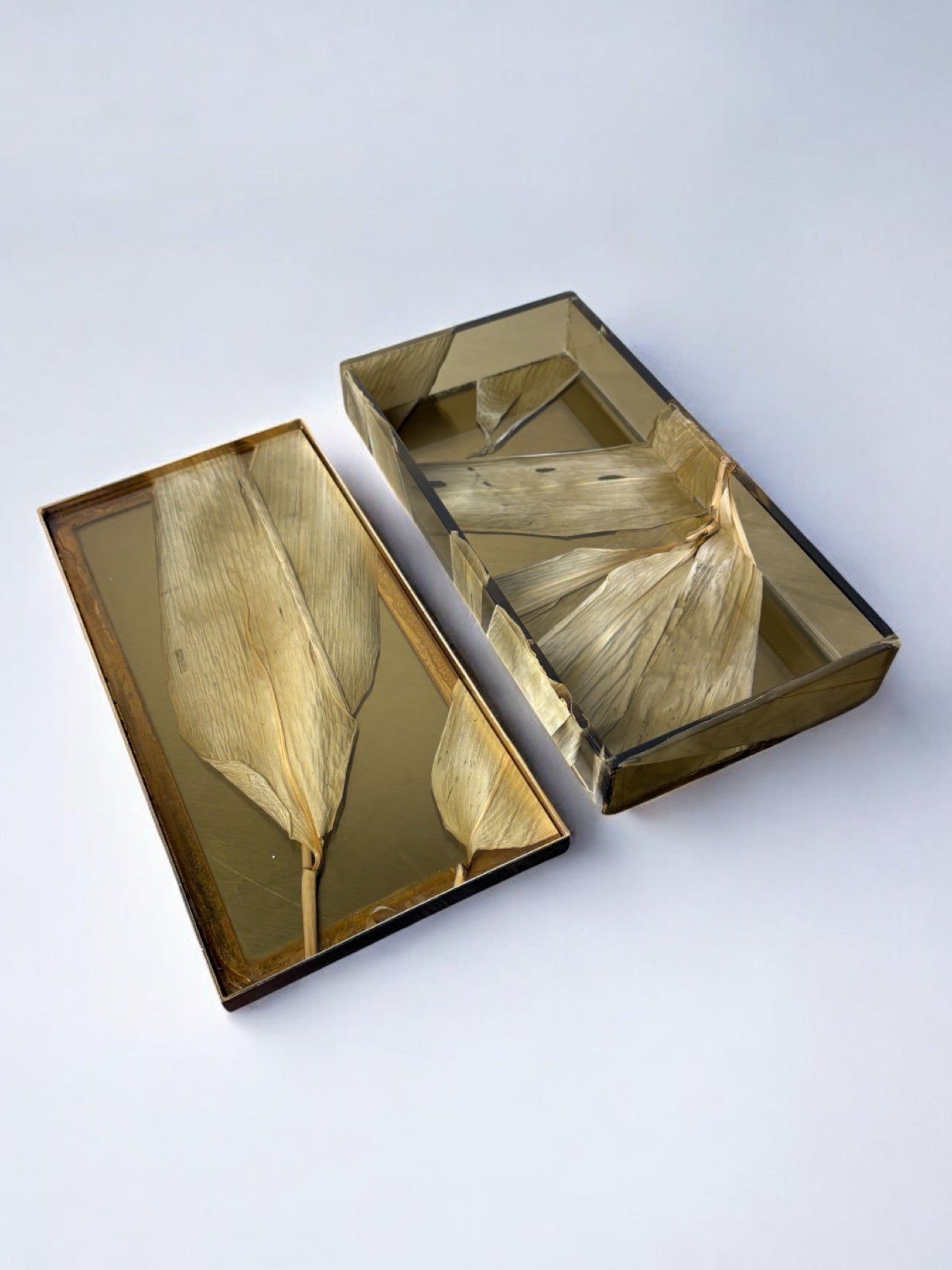 Aldo Tura Style vanity Box in Lucite, 1970's — top view showing preserved leaves inside