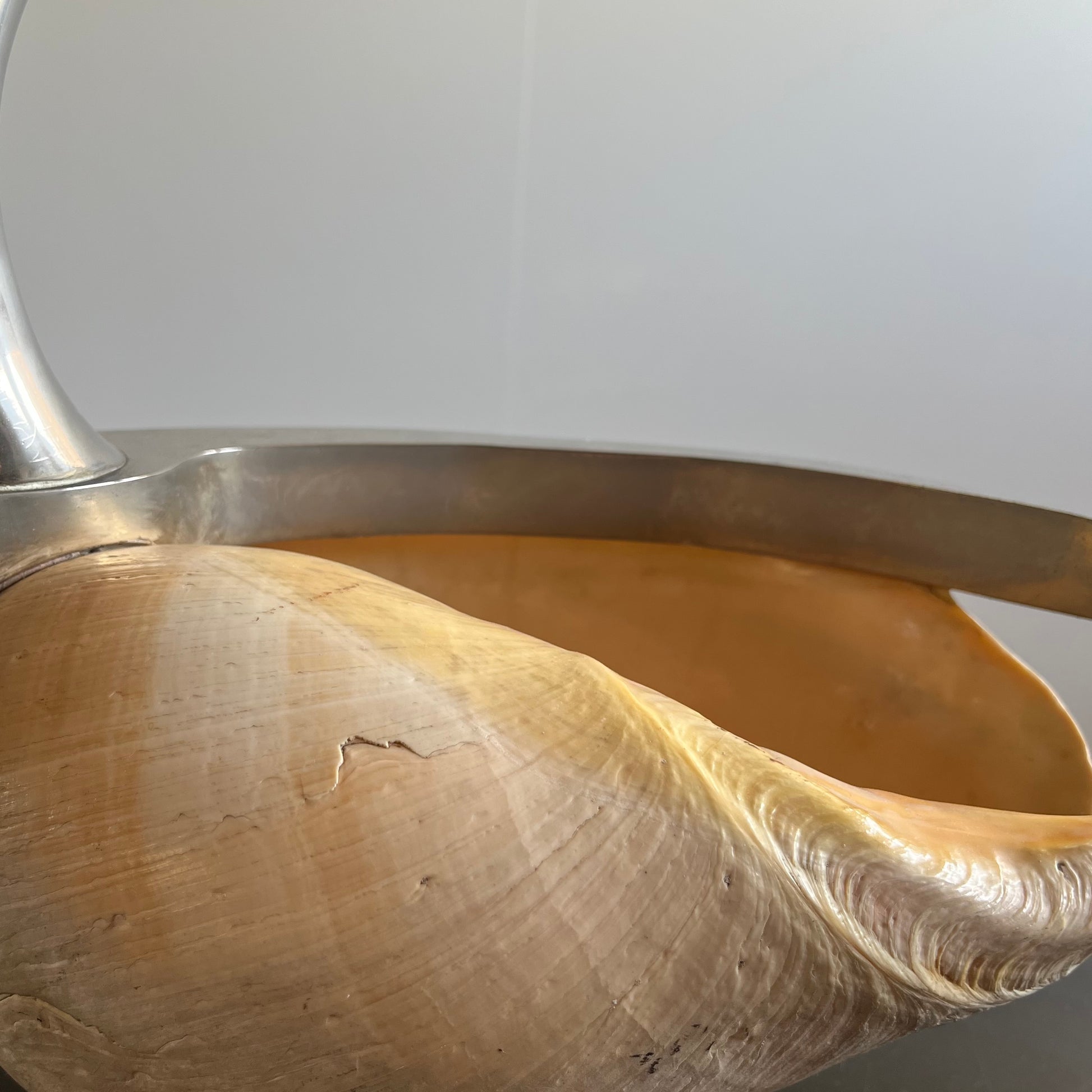 Shell Swan Centrepiece, attr. Gabriella Binazzi, Italy c.1970 — lifestyle setting