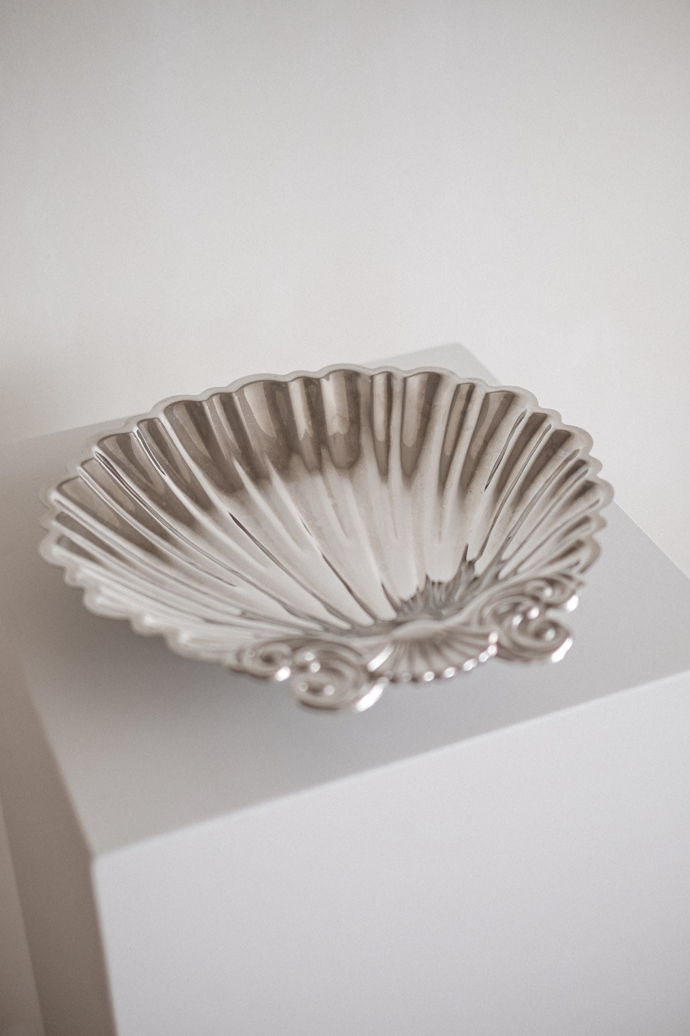 Decorative Shell Dish  — in context