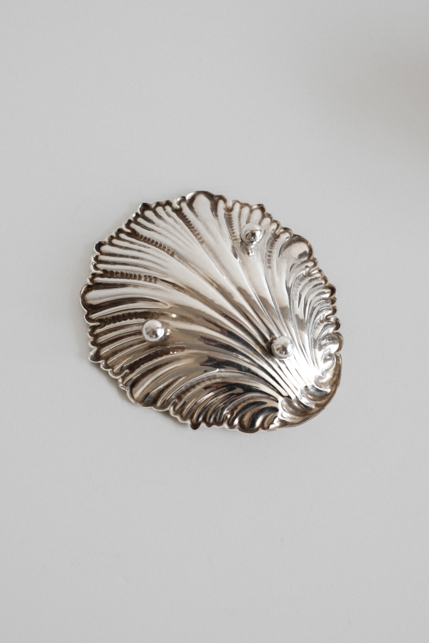 Set of 4 small shell dishes  — alternate view