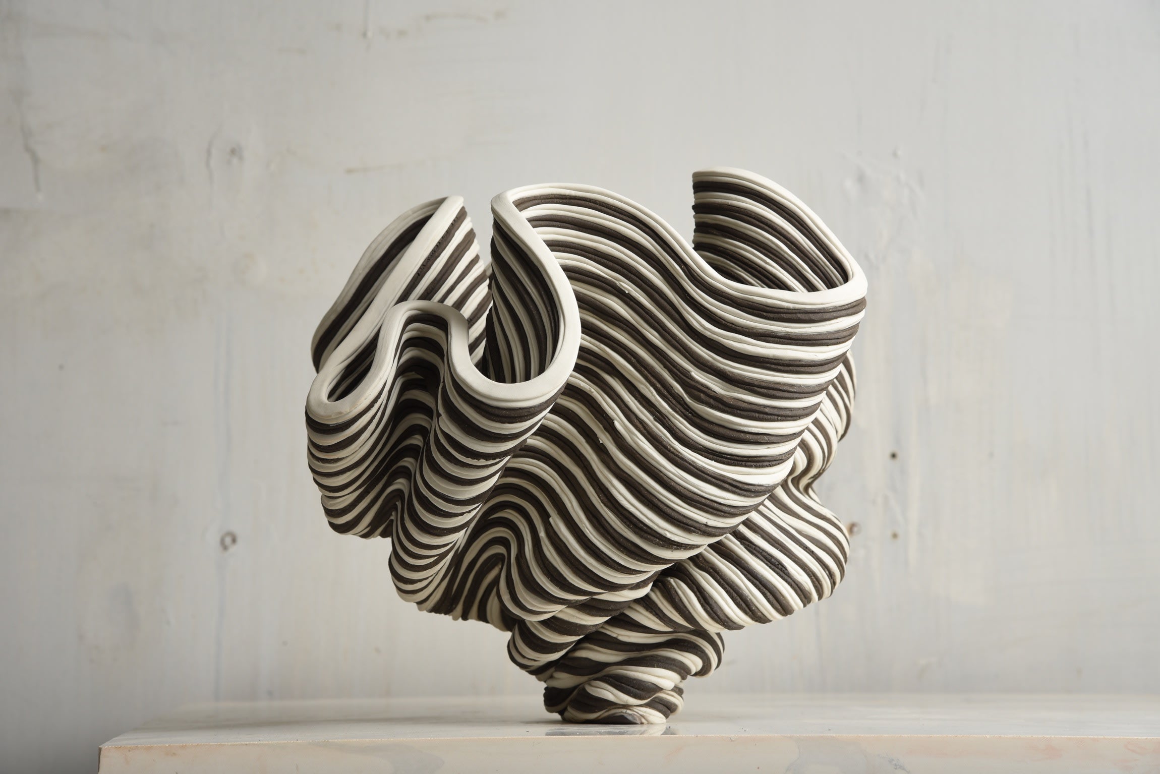Black & White Flutter — alternate view