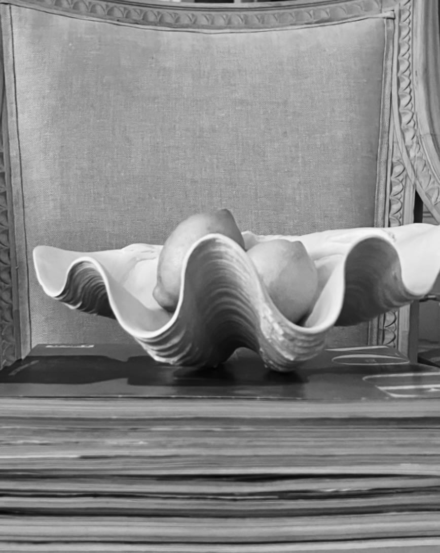 Clam Shell Bowl - Handmade Plaster Sculpture