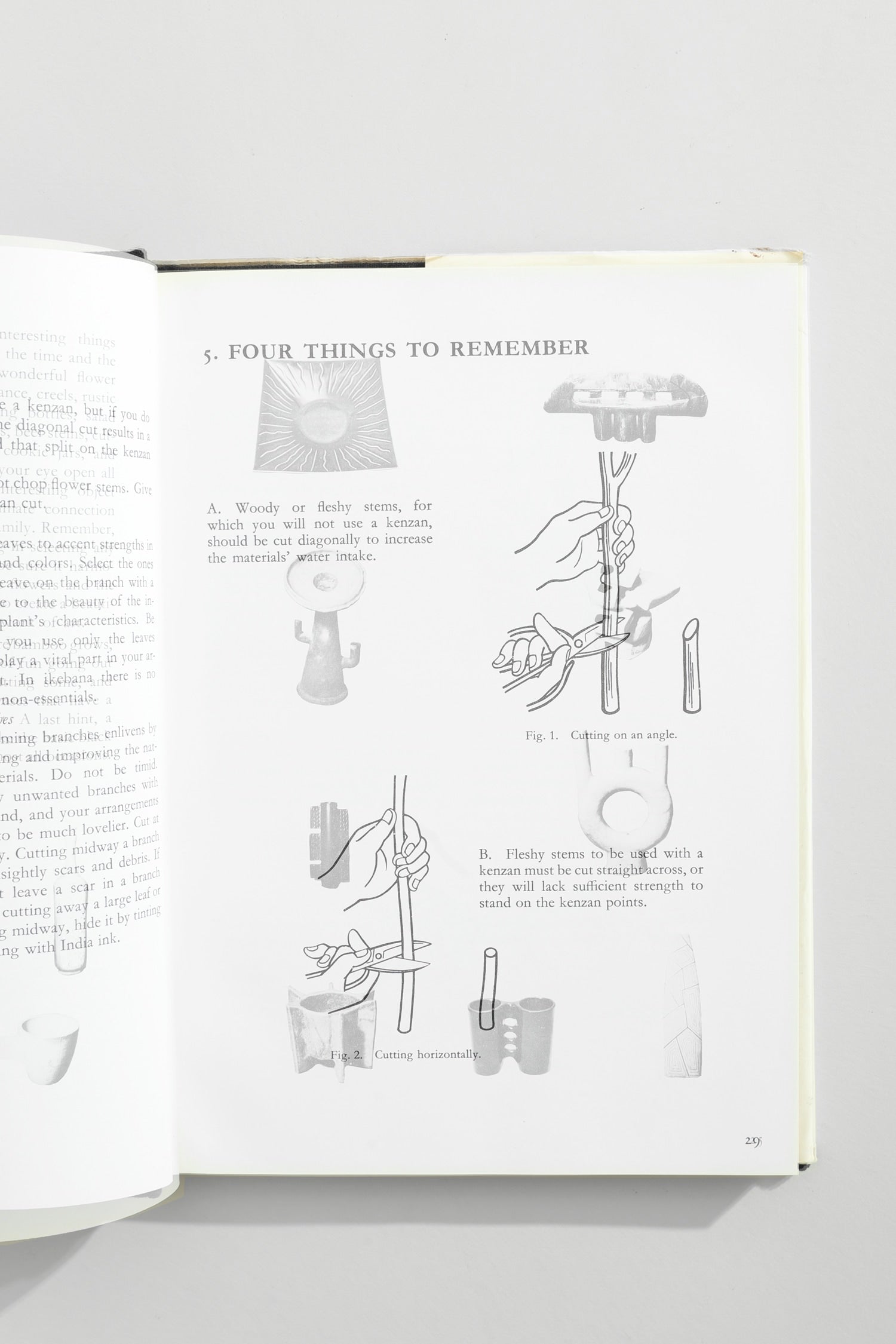 Creative Ikebana Book — top view of illustrated instructions on gray background