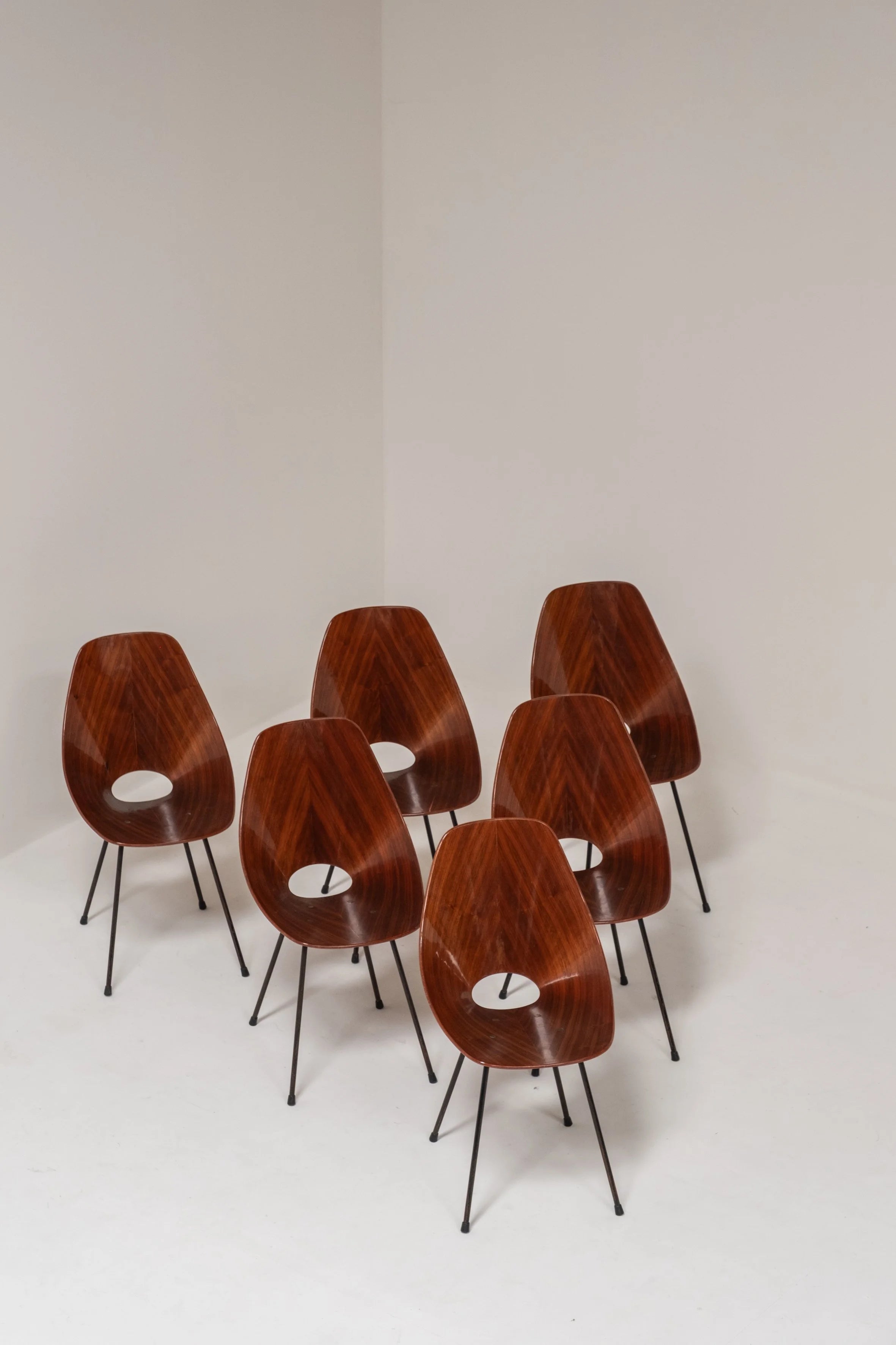 Set of 6 Medea Chairs by Vittorio Nobili, Italy, 1955 — close-up