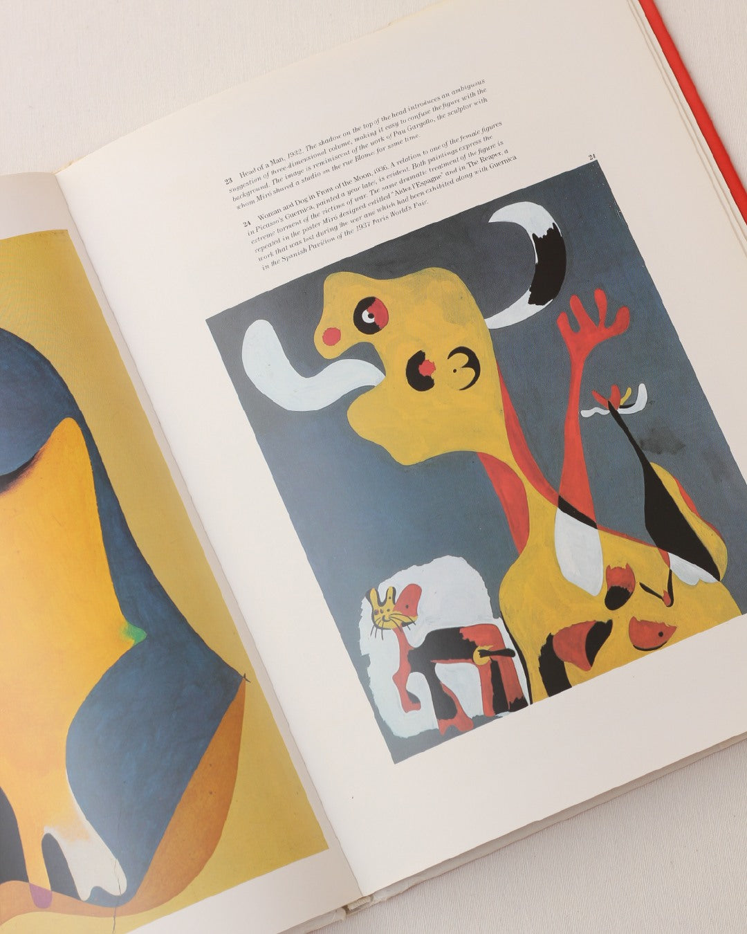 Miró — lifestyle setting