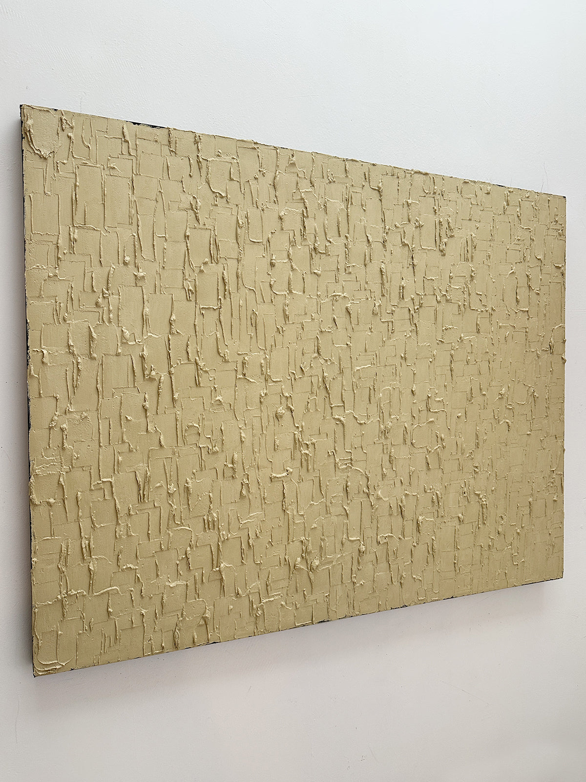 'Buff Titanium - Heavy Texture' Painting