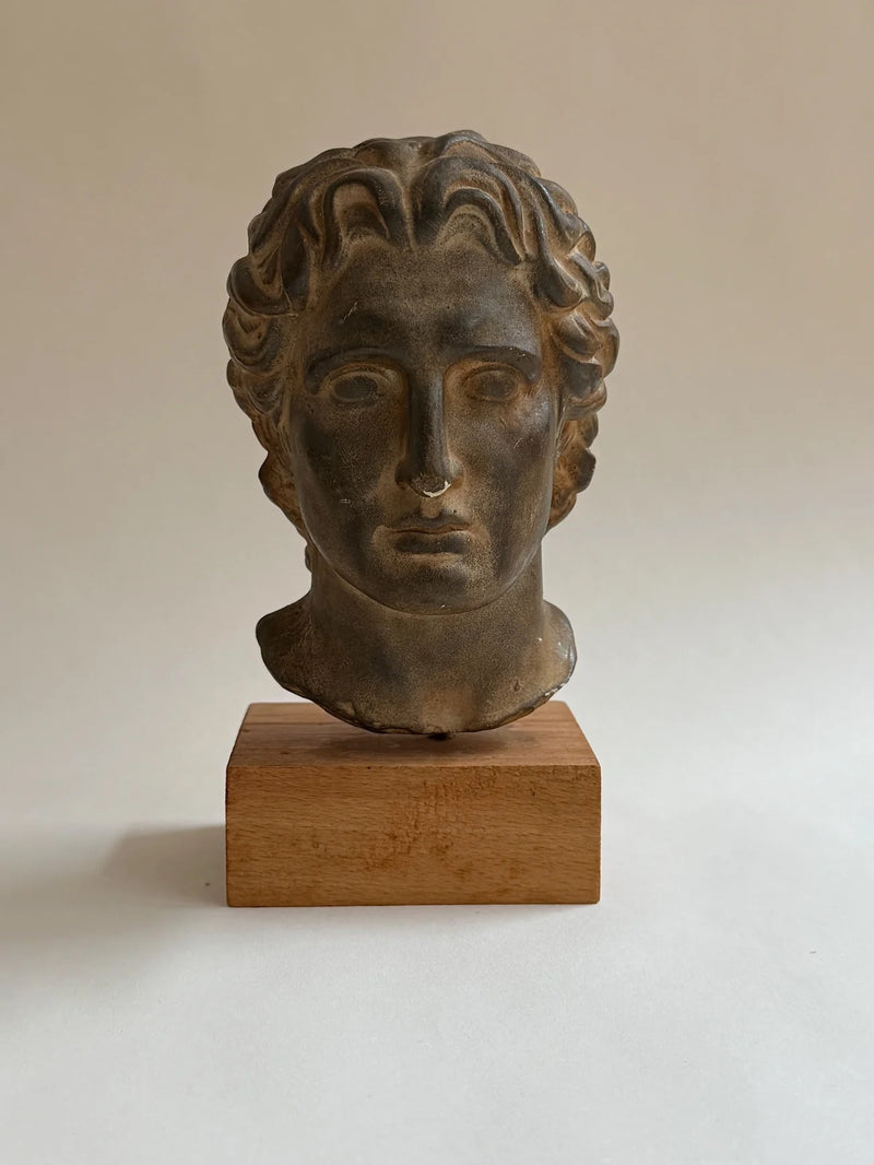Sculptural Bust on Wooden Plinth by Galerie Storm | The Oblist — bronze finish, handcrafted