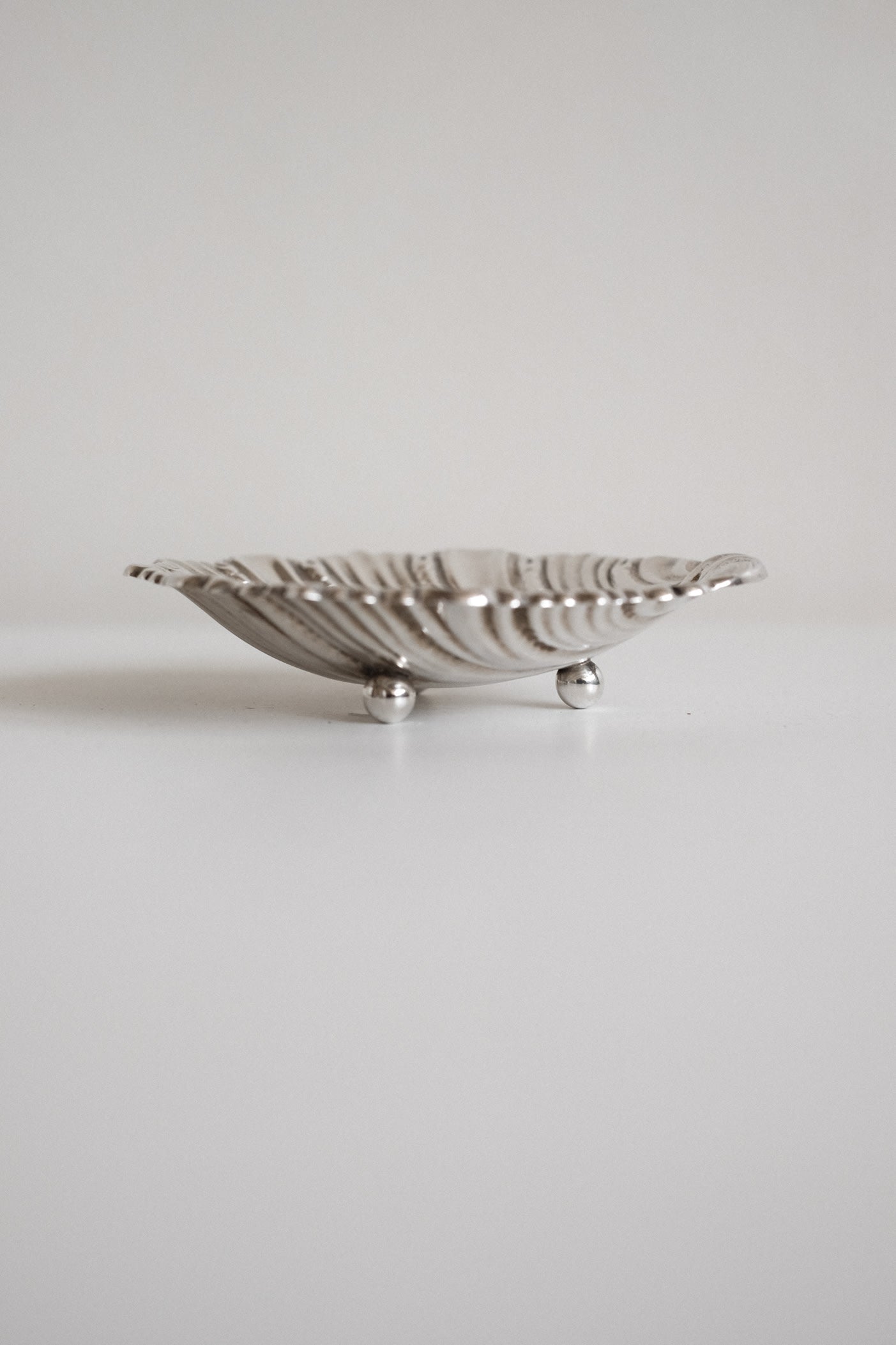 Set of 4 small shell dishes  — side angle