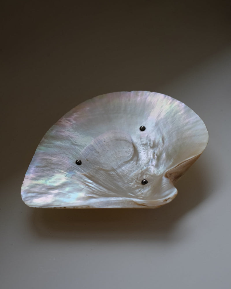 Mother-of-pearl Shell Vide-poches by septembre studios | The Oblist — handcrafted iridescent shell