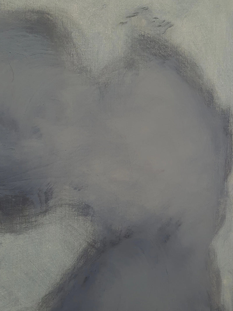 Chrysaora — close-up of soft blue and gray paint texture