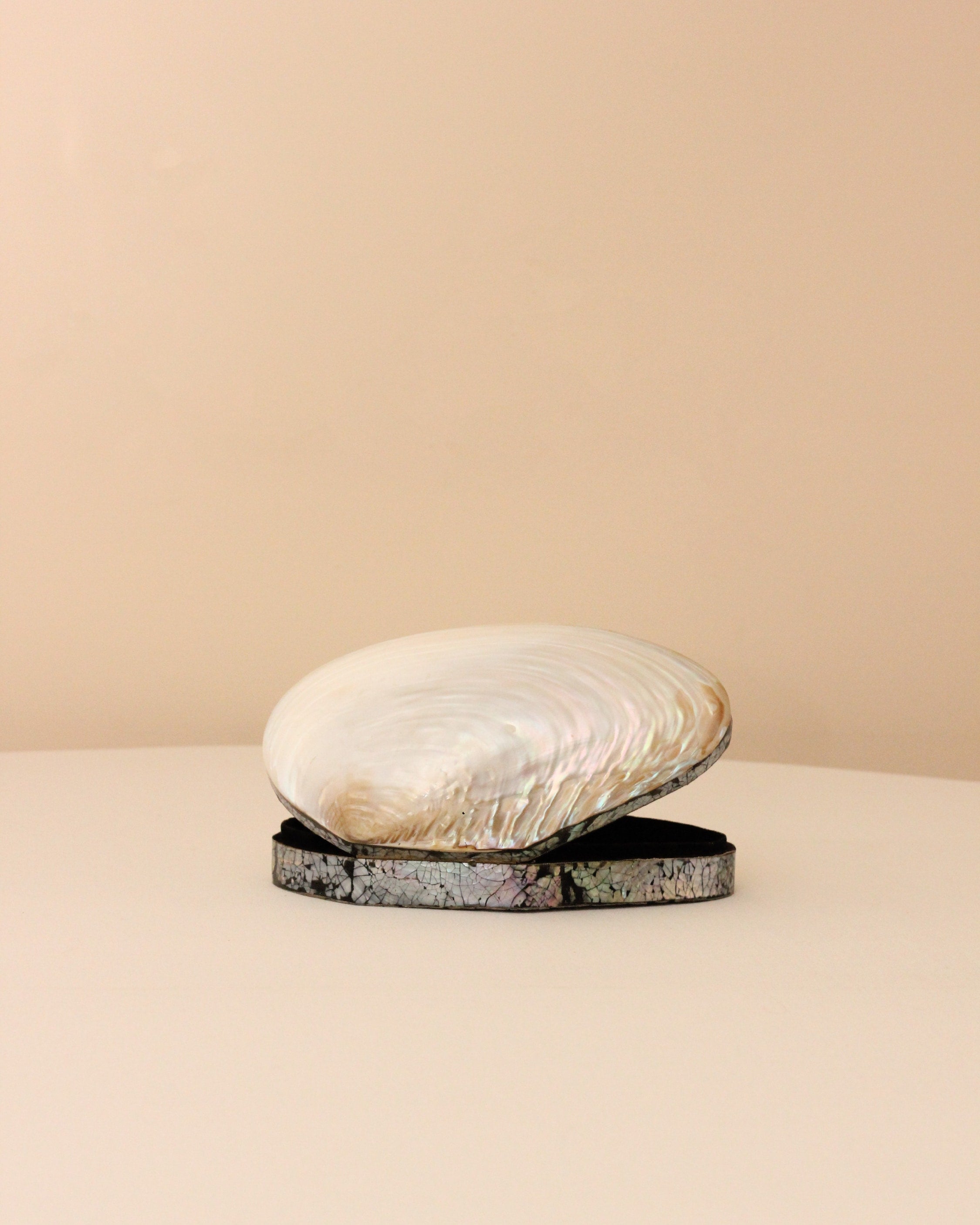 Shell Jewelry Box — side angle