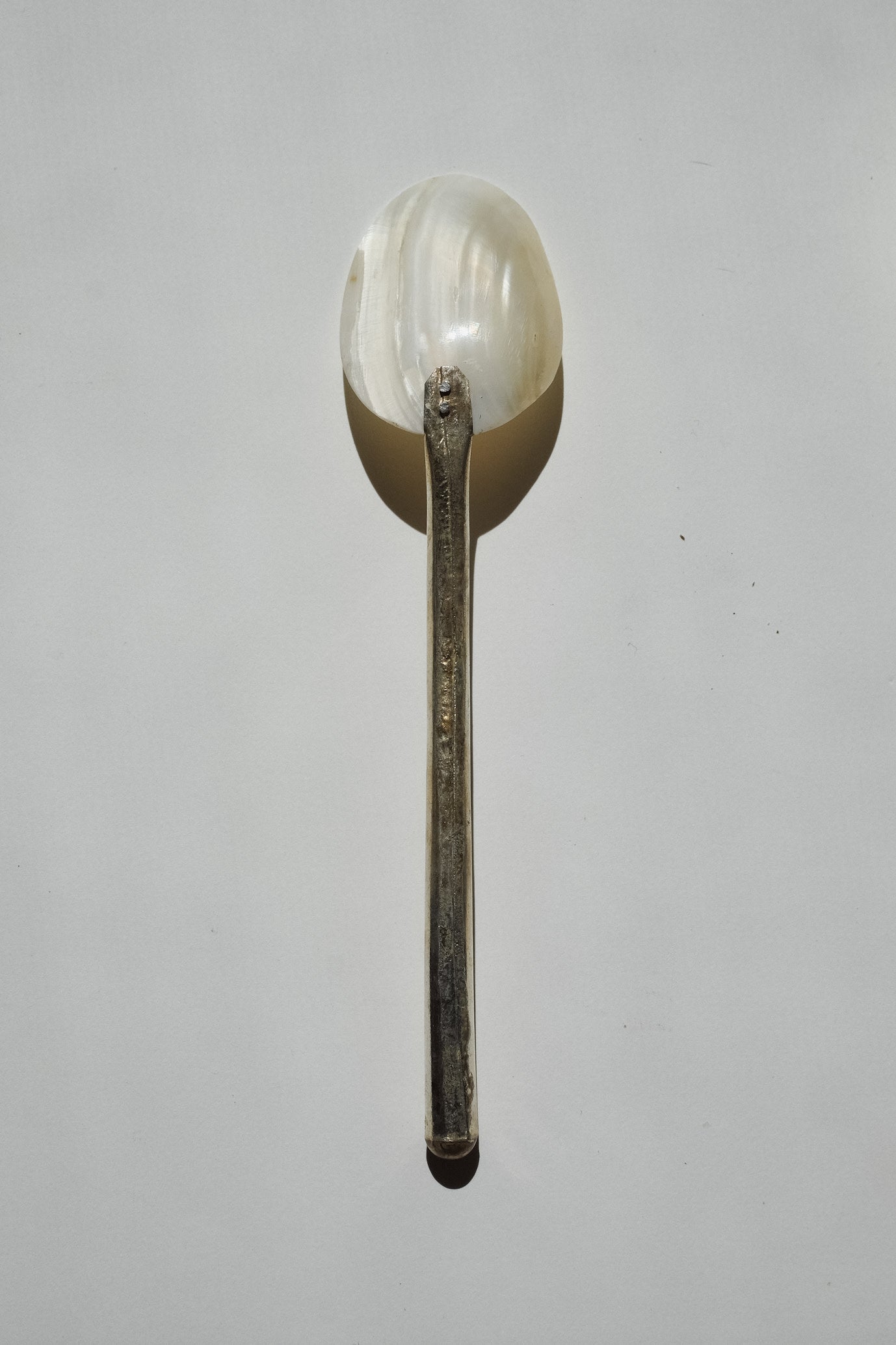 Set of 5 Handmade Mother of Pearl Shell Spoons — lifestyle setting