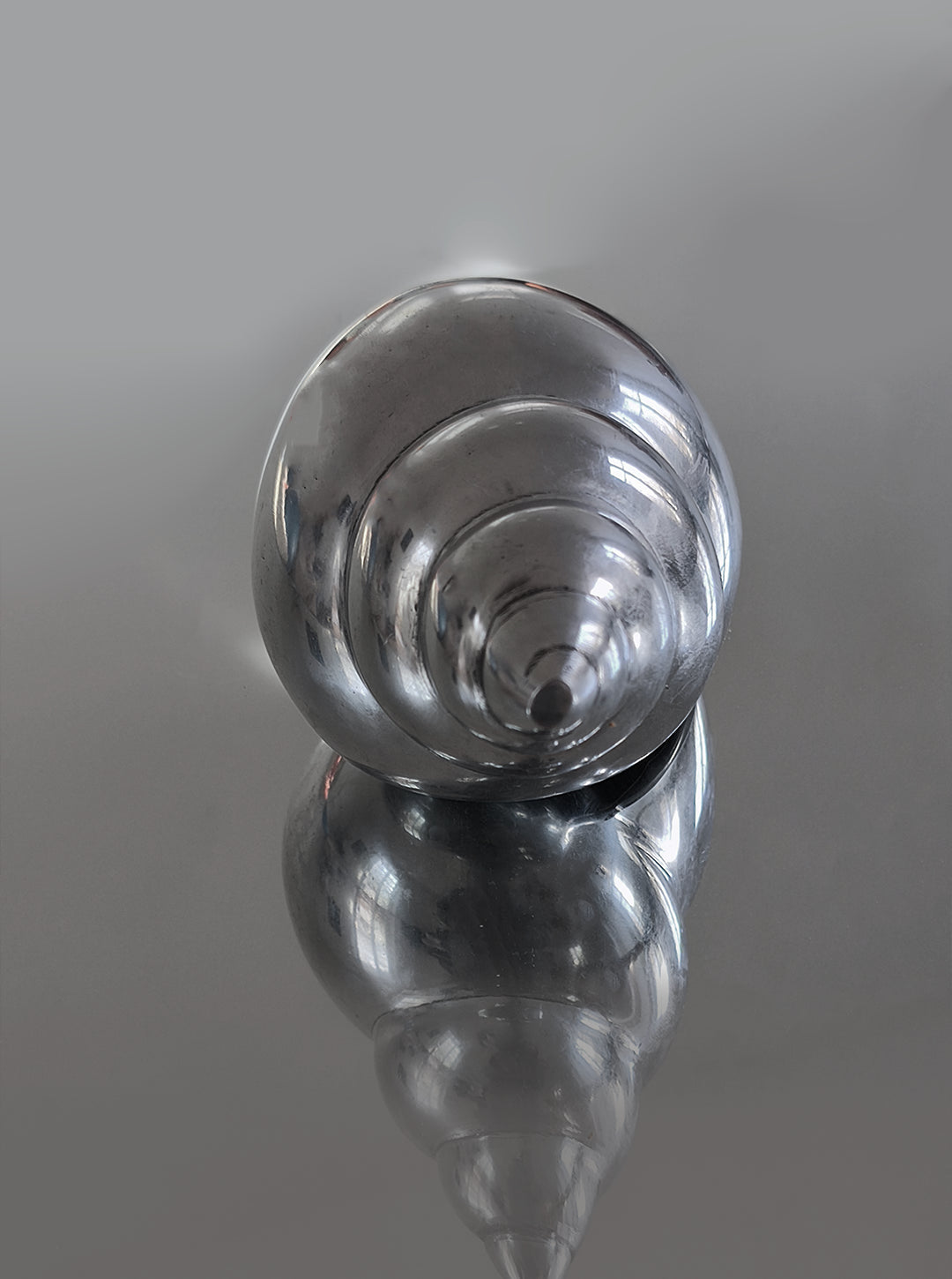 Shell sculpture — side angle