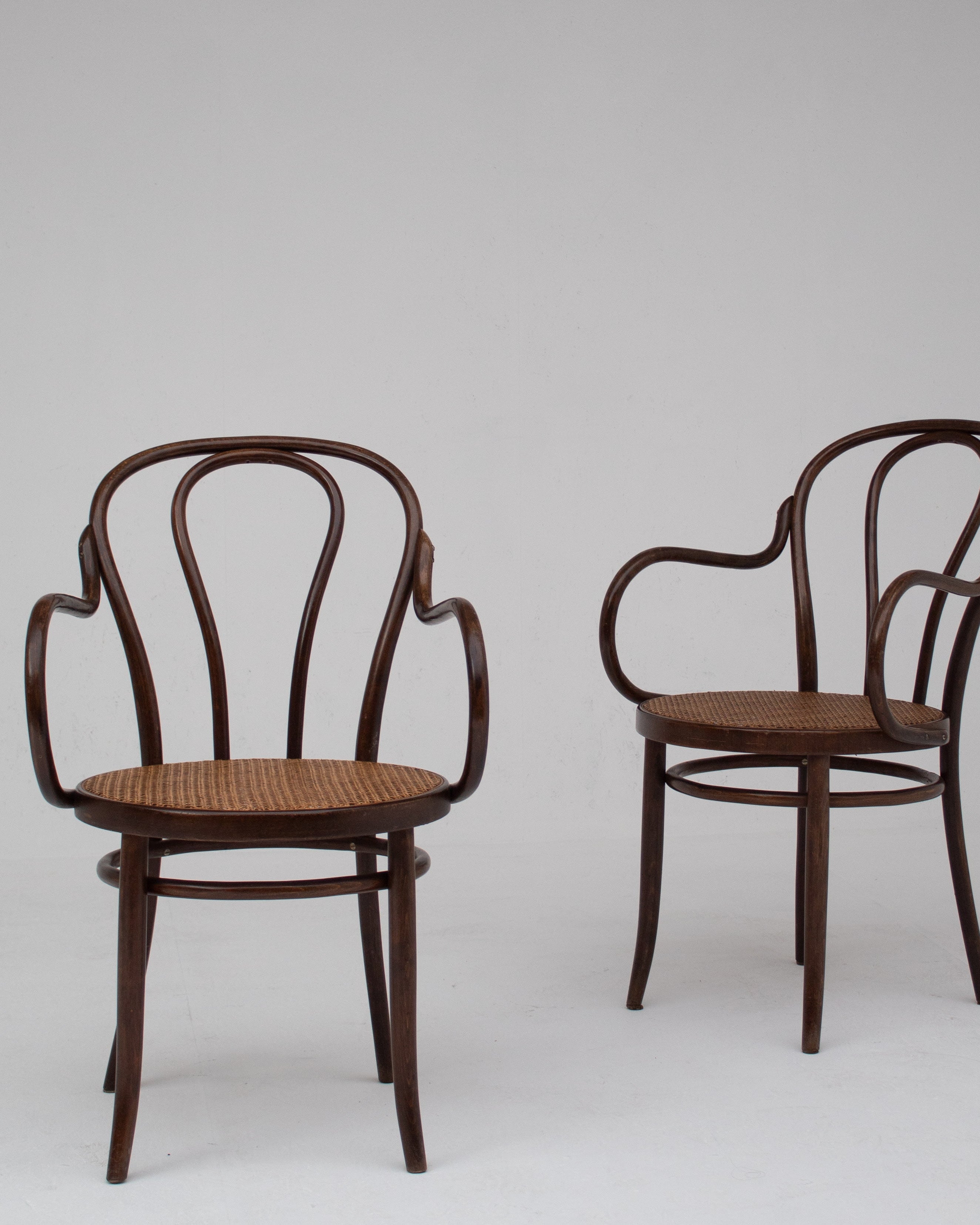 Set of Chair in Wood and Beech