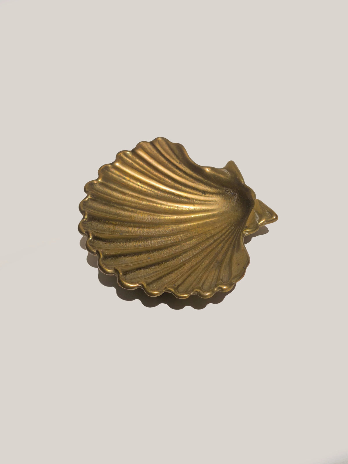 Shell Brass Vide-Poche by Les Objoies | The Oblist