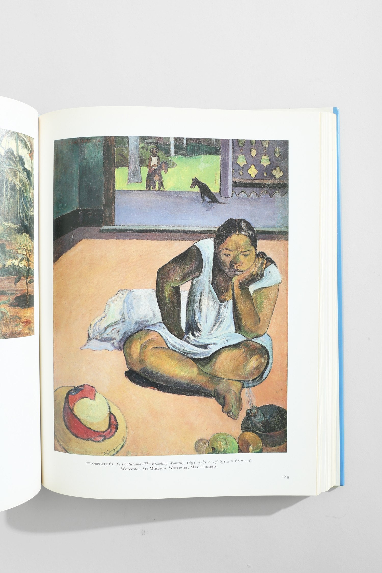 Gauguin: A Retrospective Book — side angle of open pages on light surface