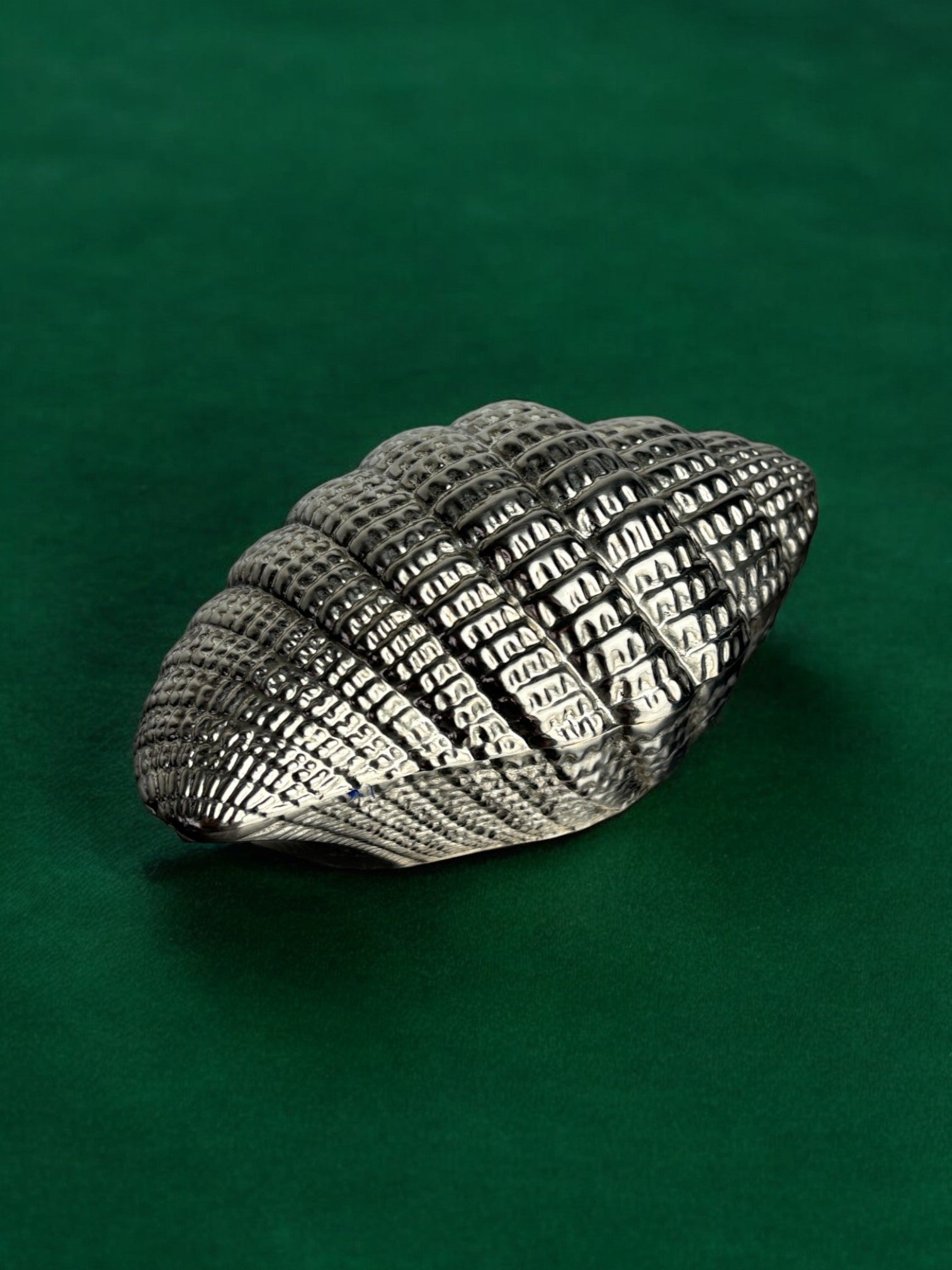 Shell Jewelry Box, Italy, 1970's — angled view on green background