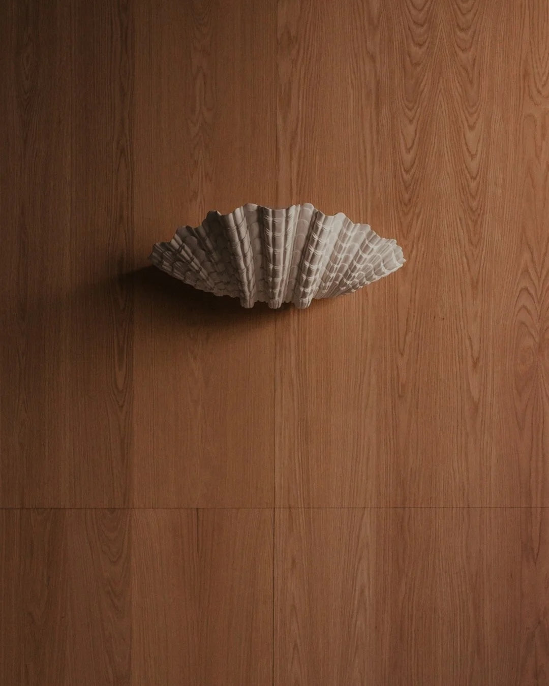 Wall Lamp - Model Coquillage