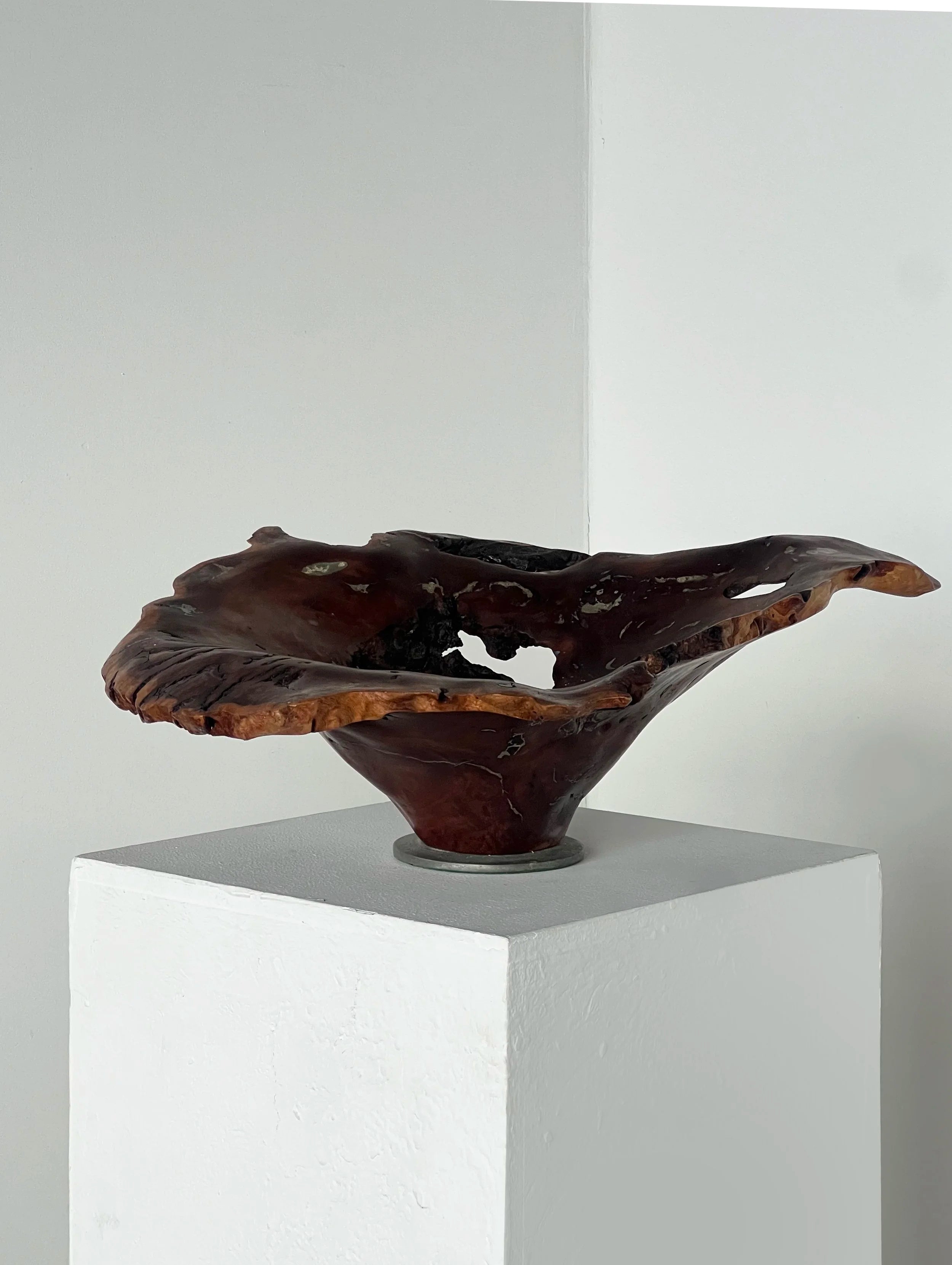 Australian Burl & Pewter bowl — side angle