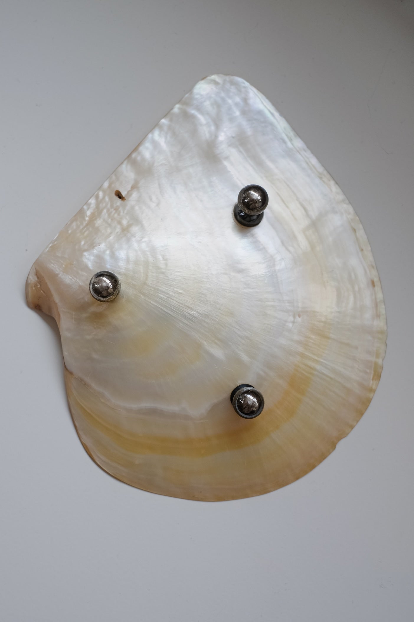 Mother-of-pearl Shell Vide-poches — top view showing natural shell texture