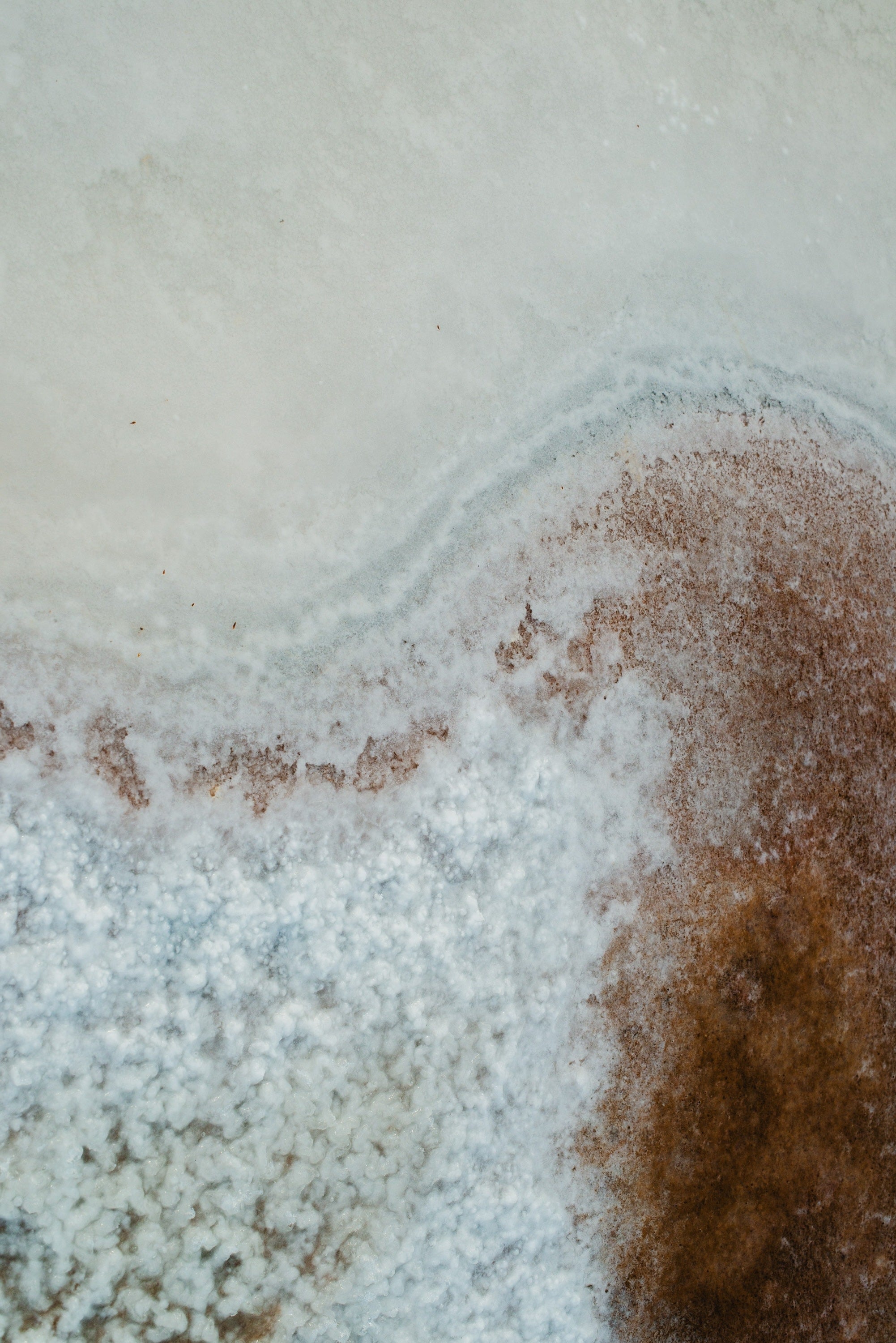 Ses Salines No. 28 — Fine Art Photograph — detail view